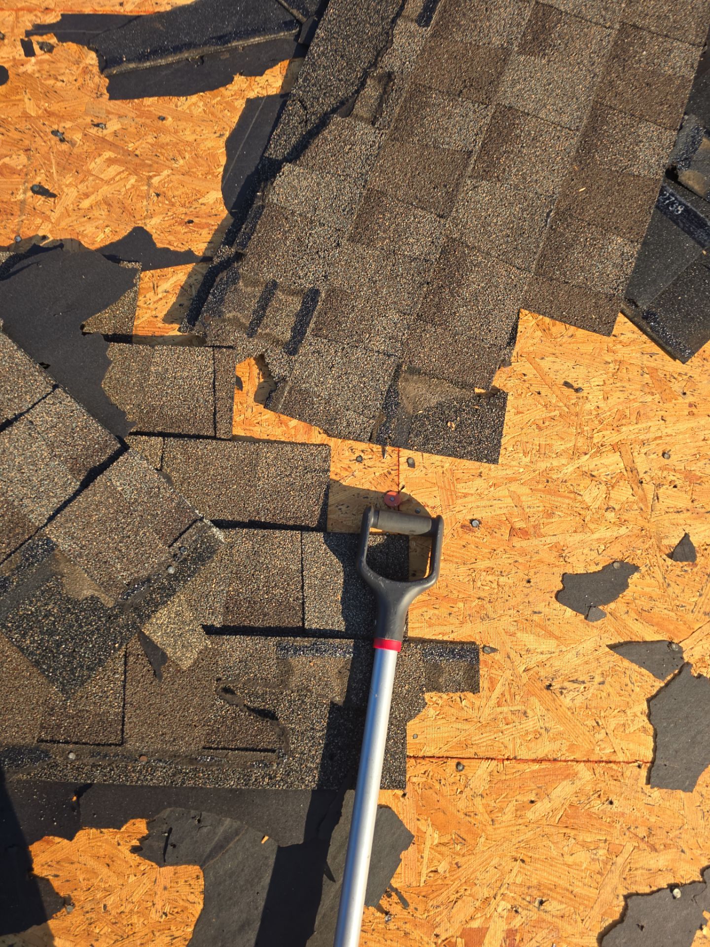 Roof Replacement Spring by Roof Repair Company