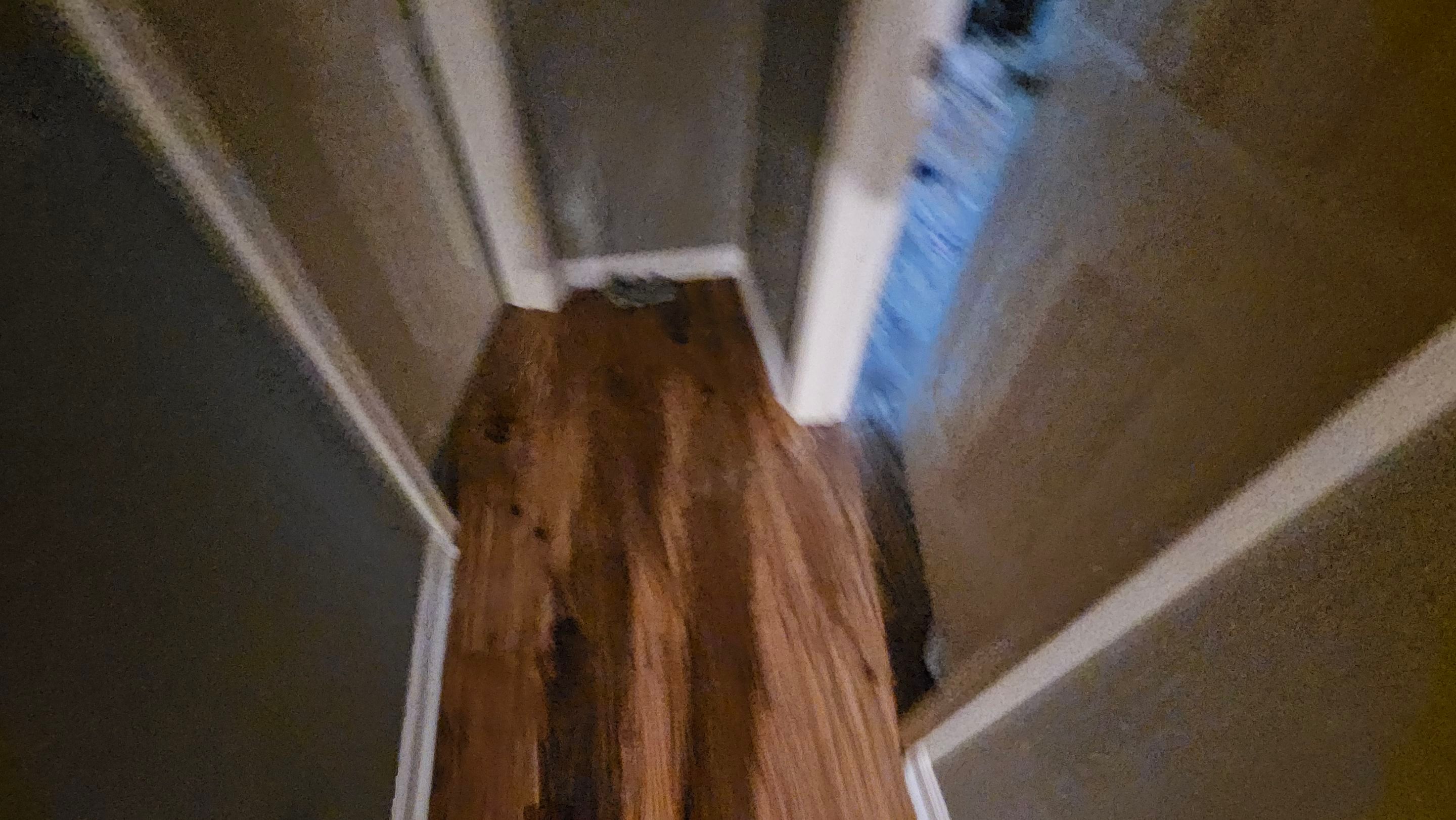 Water Damage Claim in Walnutport by FLAPA & KeyStone