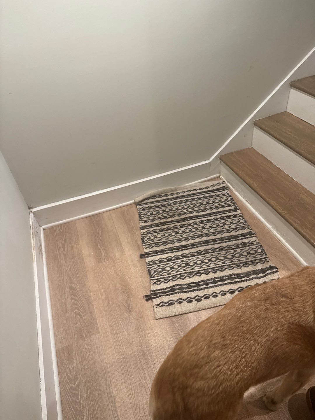 Interior Drain Tile Waterproofing in Columbia Heights, MN by Waterproofing Northeast
