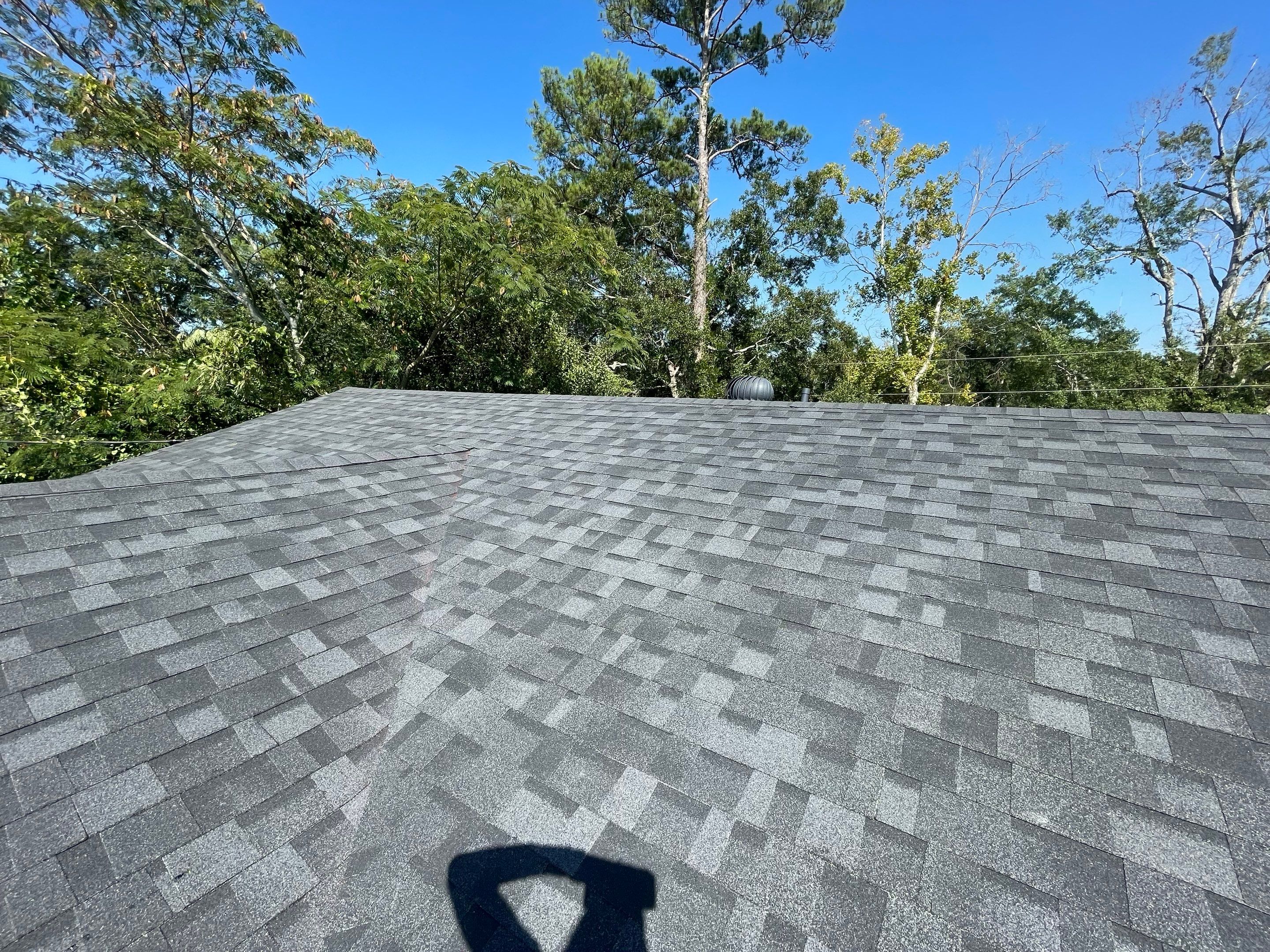 Silver Birch Shingles by Reimagine Roofing