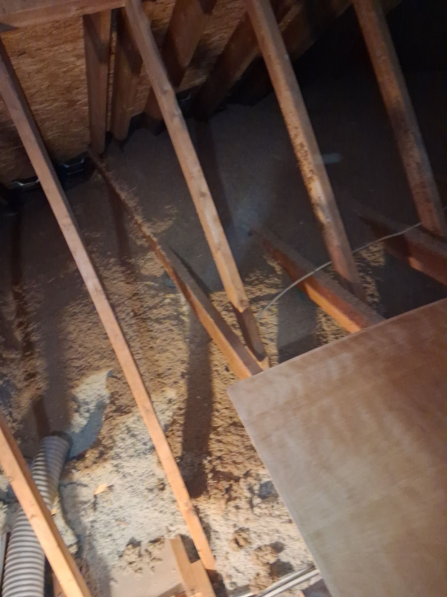 Attic Insulation and Repair by Toledo Basement Repair