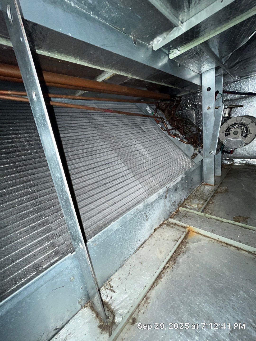 Rally House Humble by Pilo's A/C