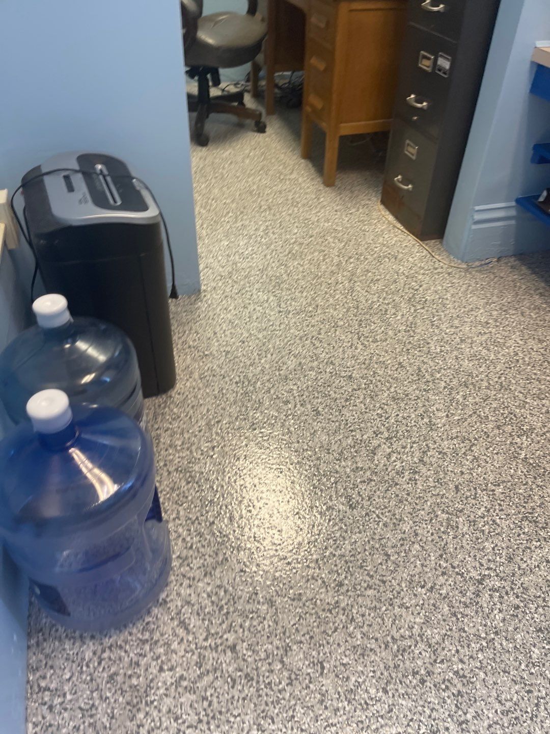 Cat Hospital Project in Pittsburgh by Floors in a Day, Inc