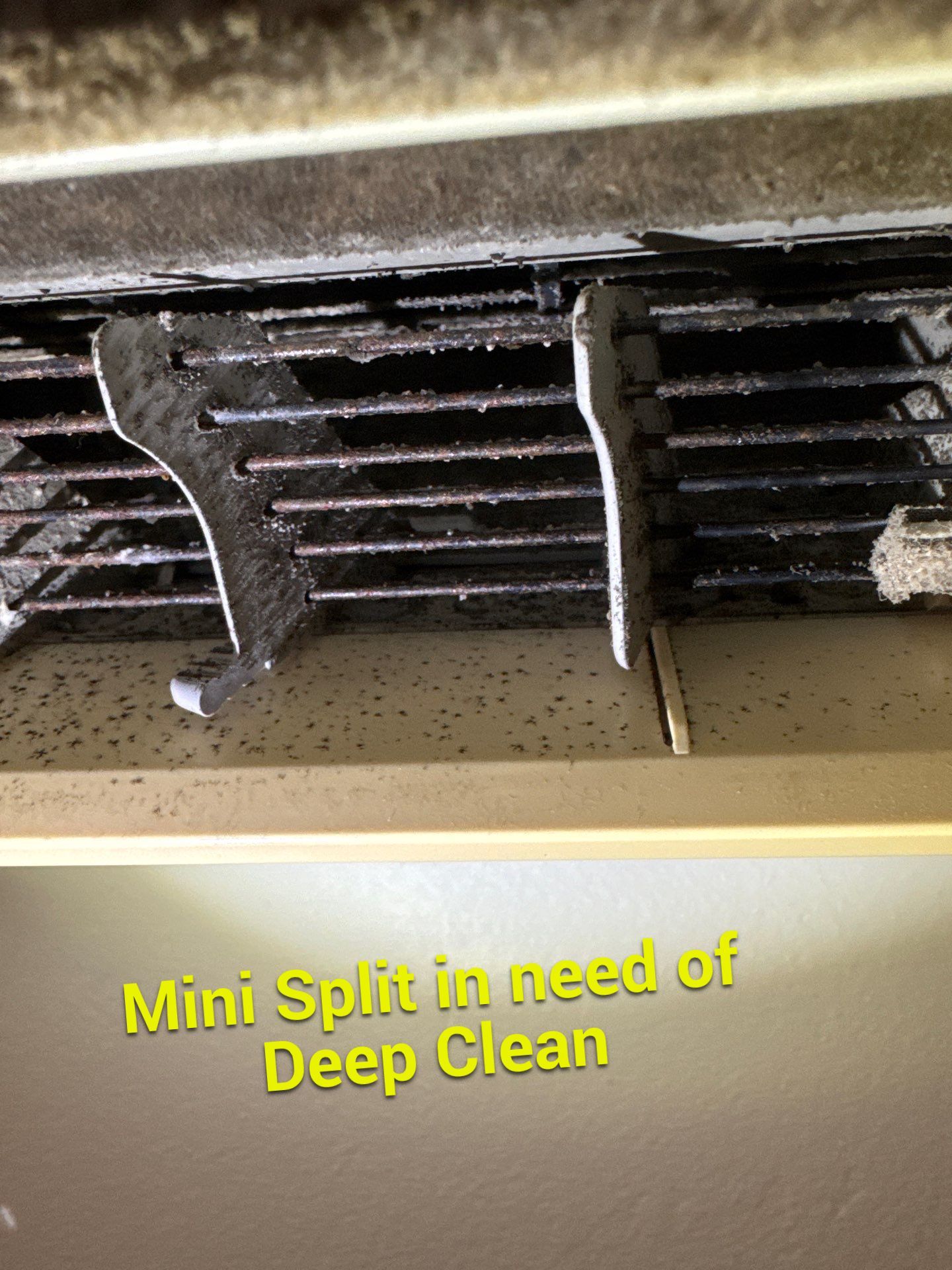 New Paltz, NY — Mini-Split Deep Clean & Biological Growth Removal by Shelter Air