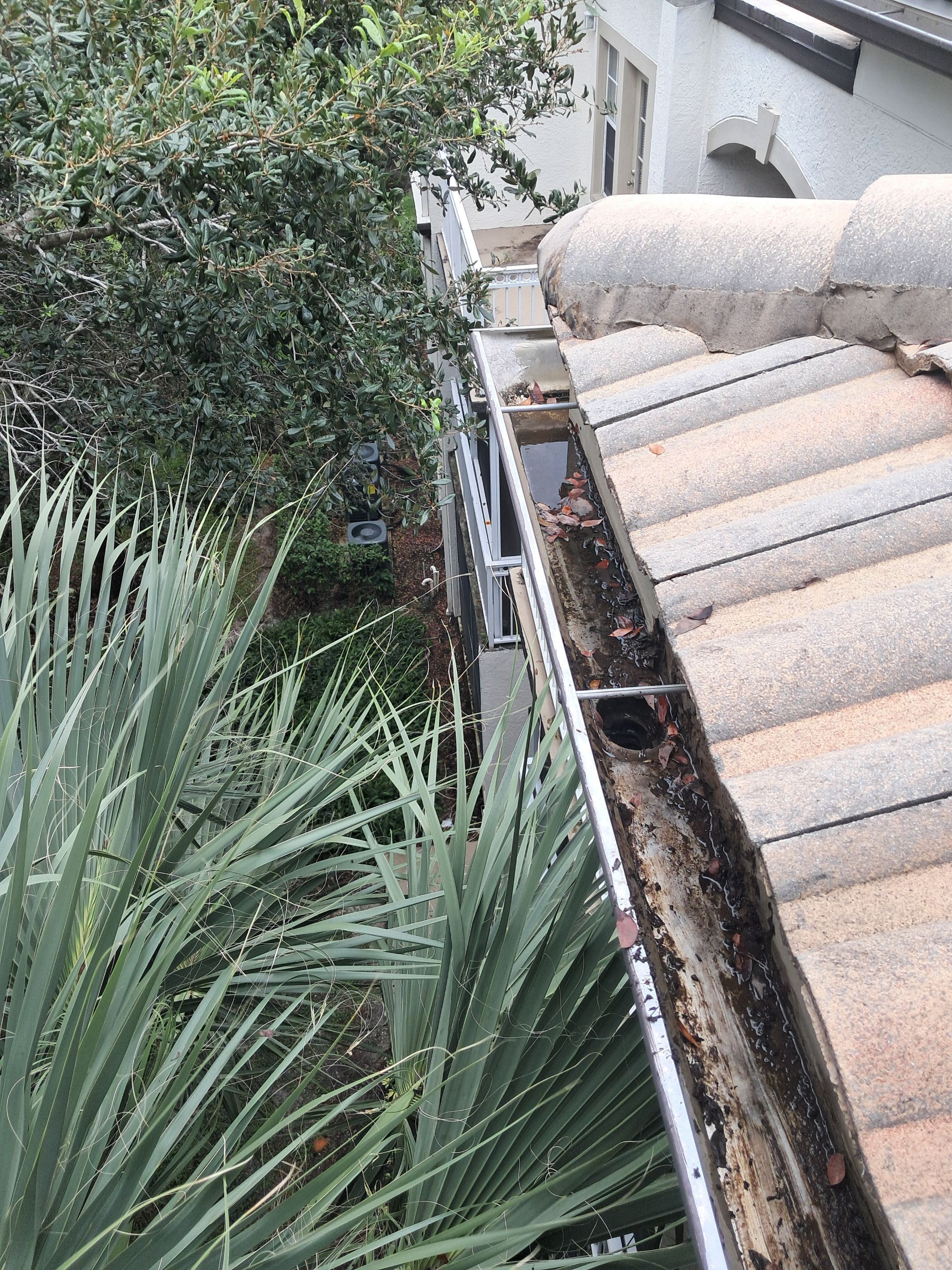 Commercial gutter cleaning West Palm Beach, FL	 after photo with clean gutters