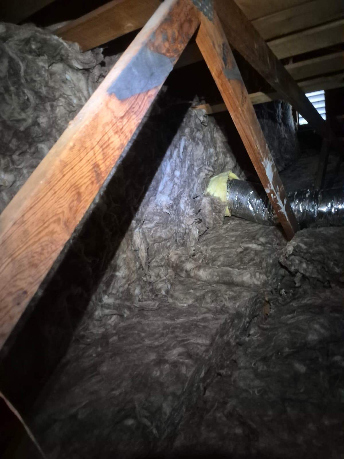 Project by Advanced Attic Solutions by Advanced Attic Solutions