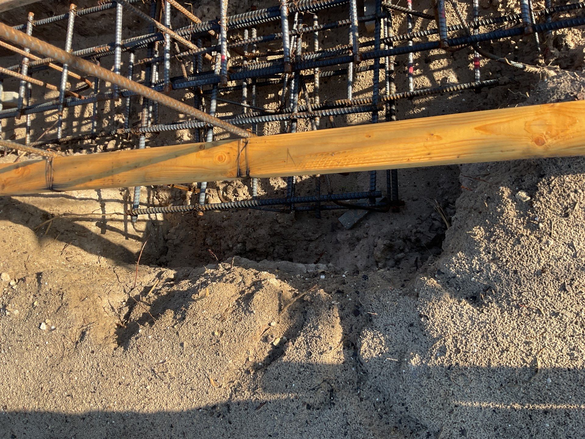TRACTOR SUPPLY NAPLES by Southern Gulf Construction