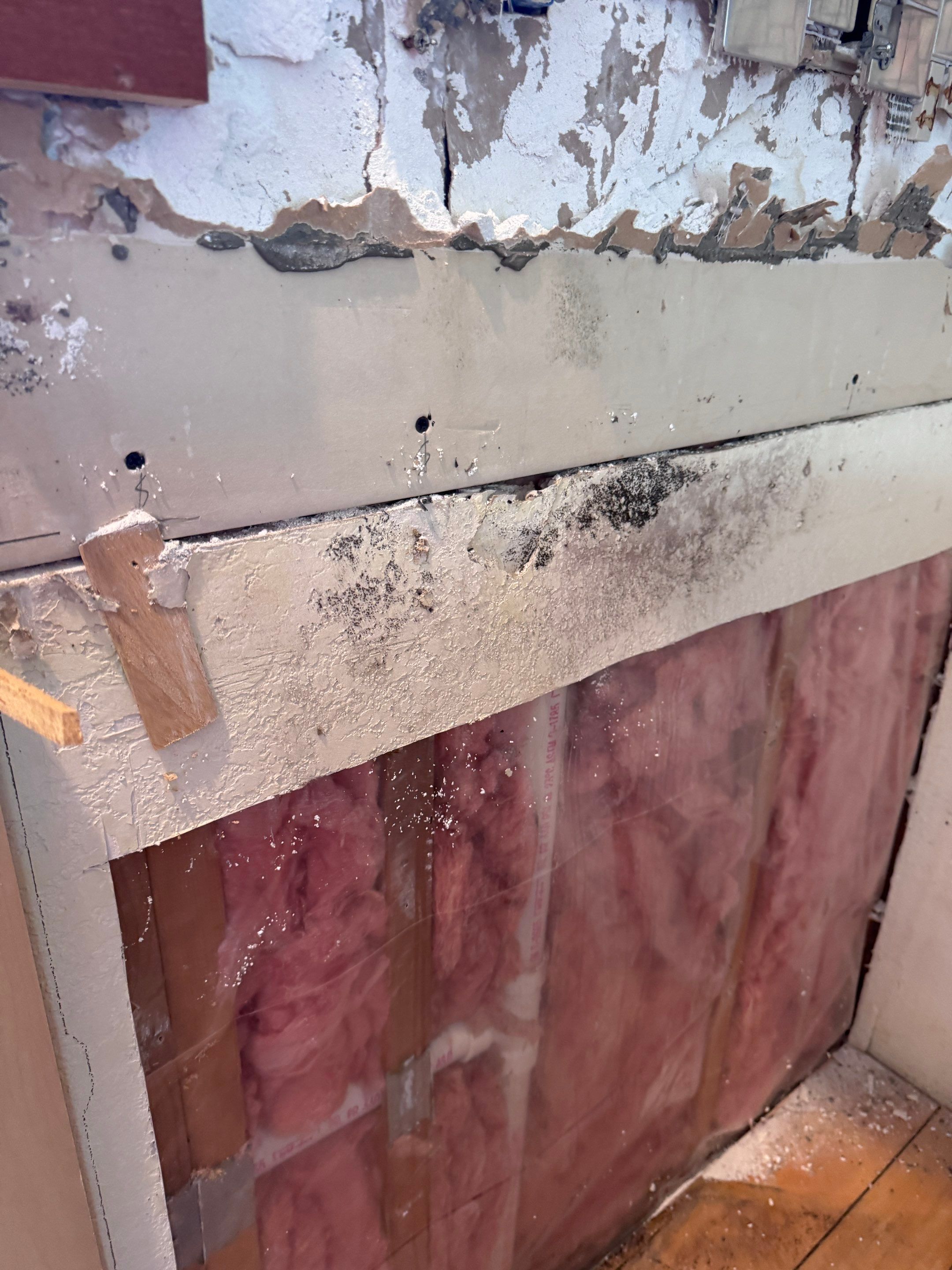 Mold Remediation in Muskego by Dry Source Property Restoration