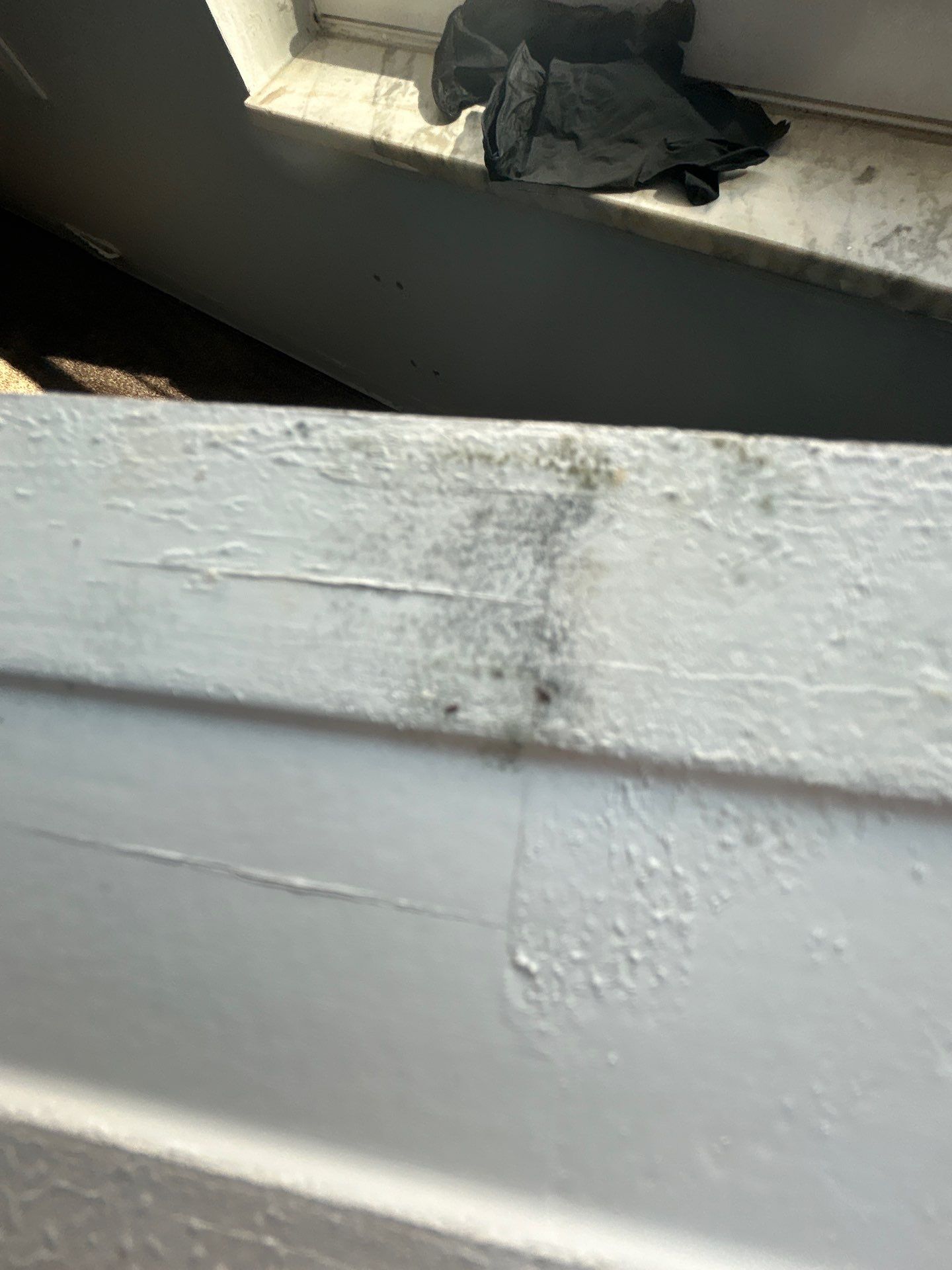Commercial Water Damage Restoration by Ampm Restoration Services