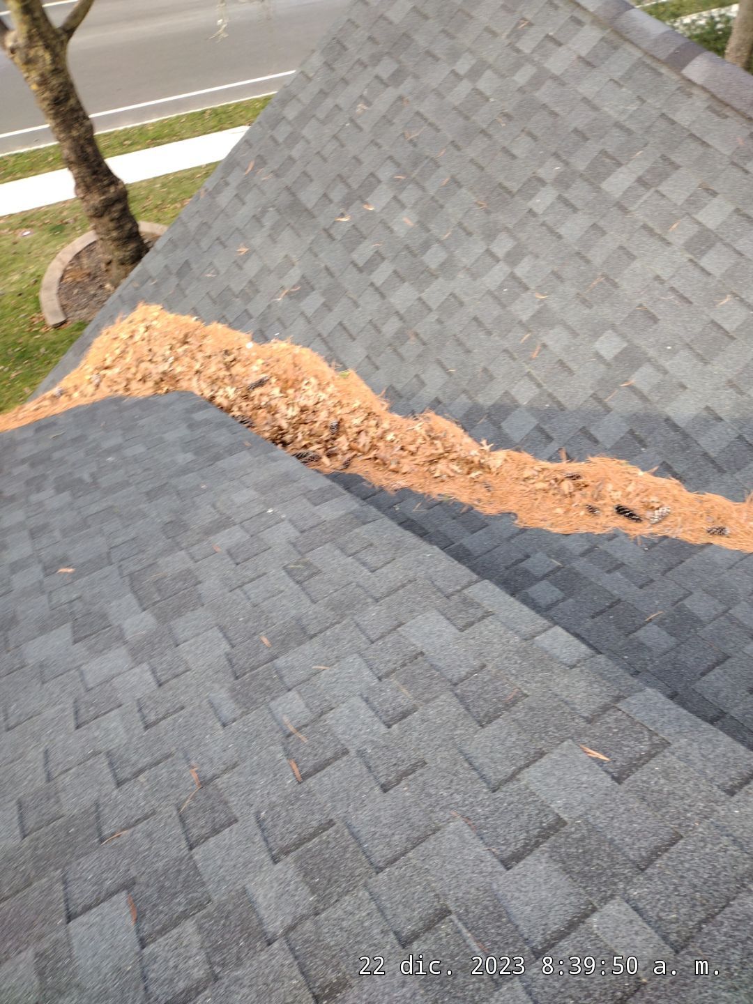 Comprehensive Gutter Cleaning and Debris Removal in Summit by NJ Home Maintenance Services