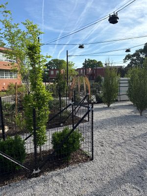 Playground using Mini Mesh