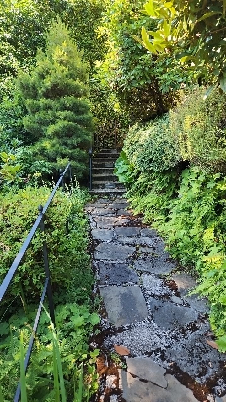 Flat work using Pressure washing no chemicals by Willamette Outdoor Wash LLC