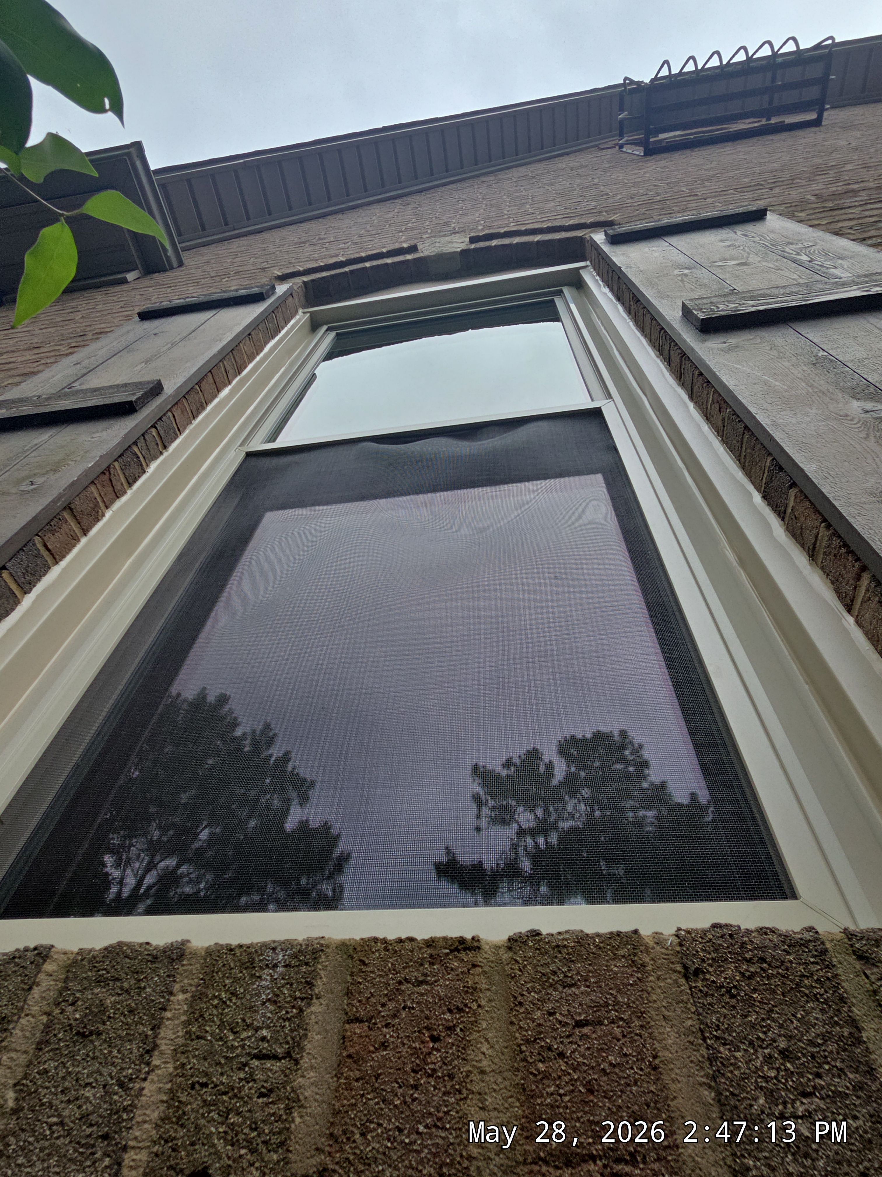 Bruner Project in Helena by The Window Source