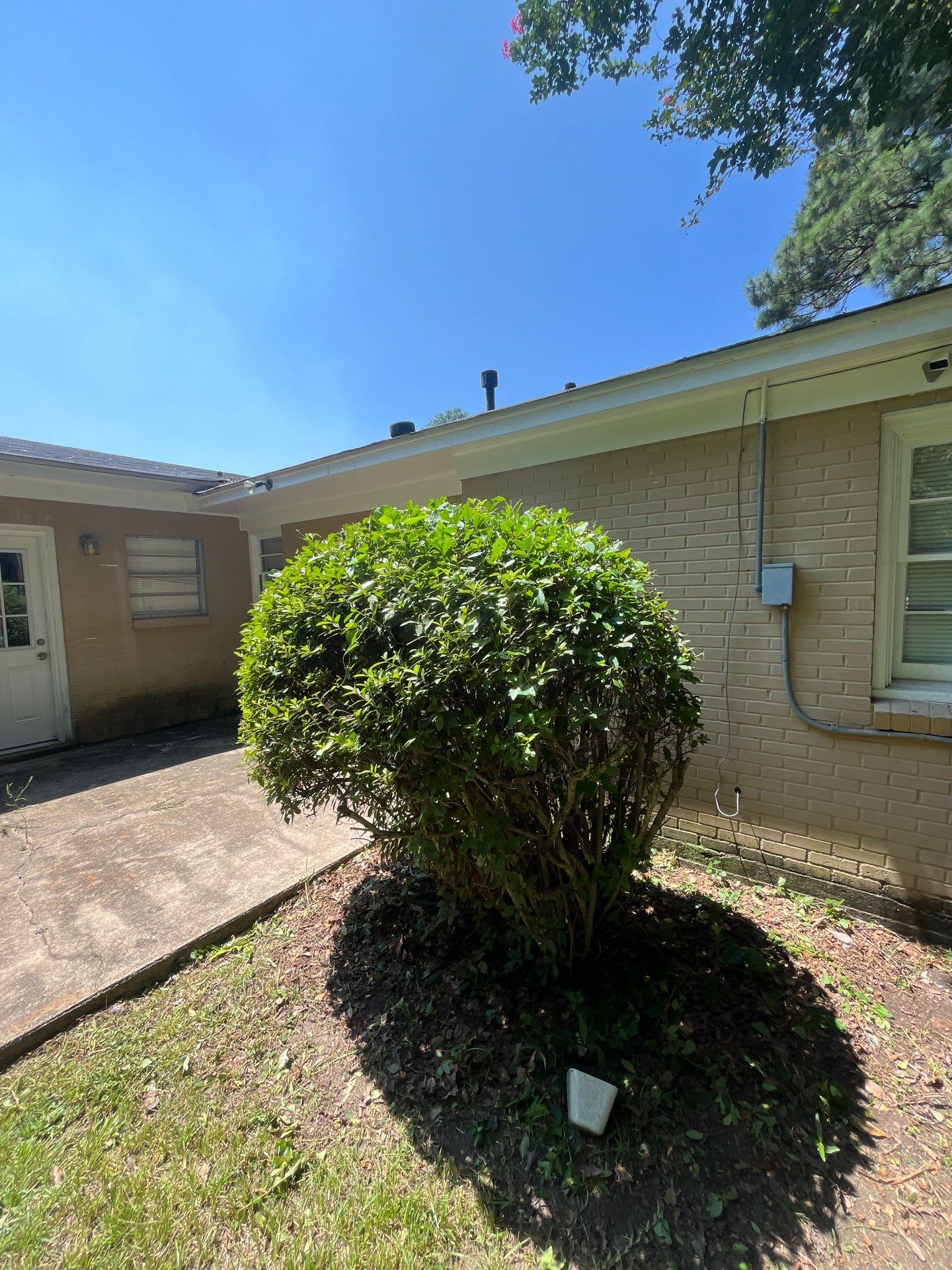 Yard Makeover by College Bros Outdoor services