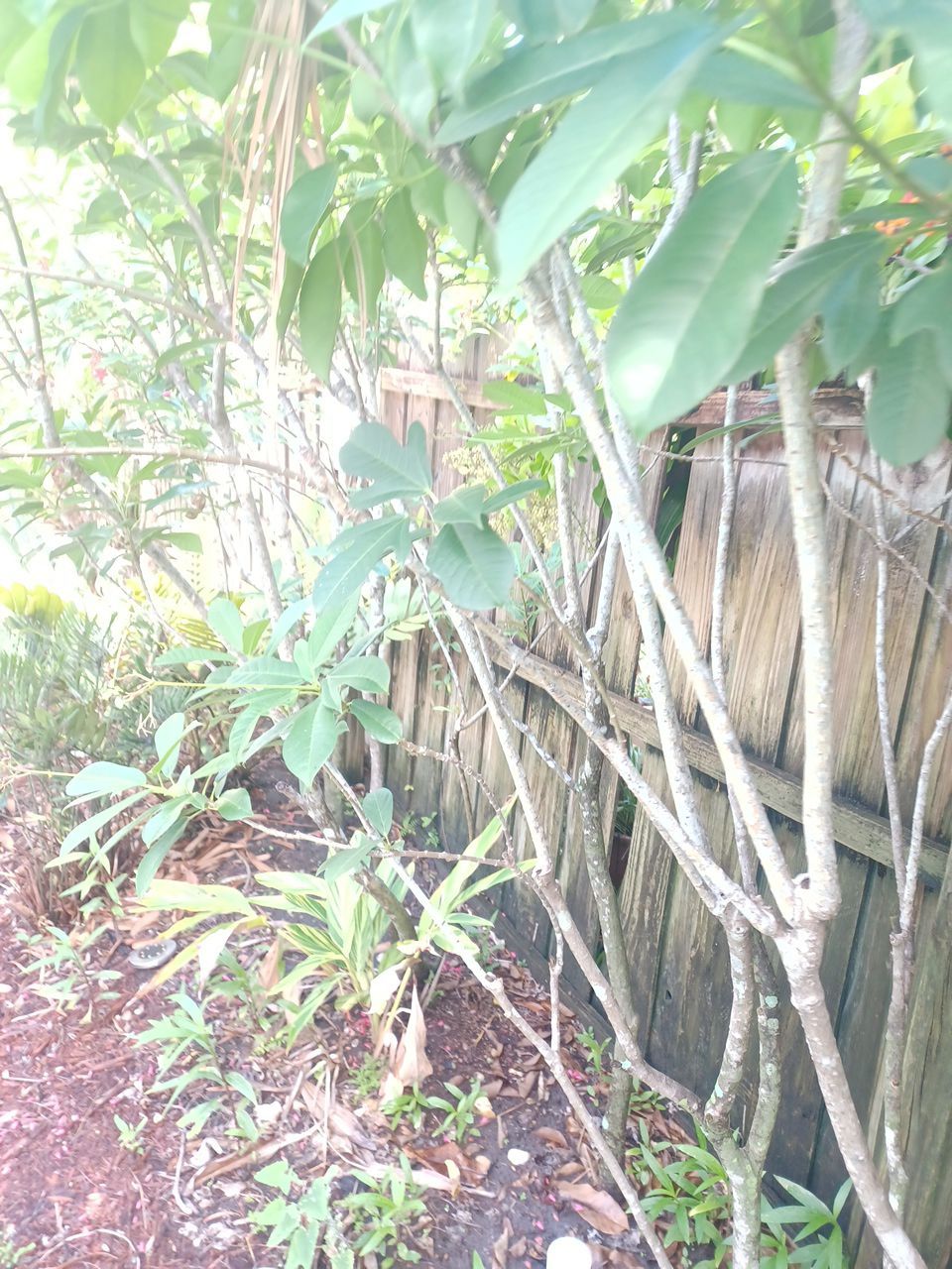 Bradenton, FL 6ft. White Vinyl Privacy Fence by Asap fence and gates, LLC