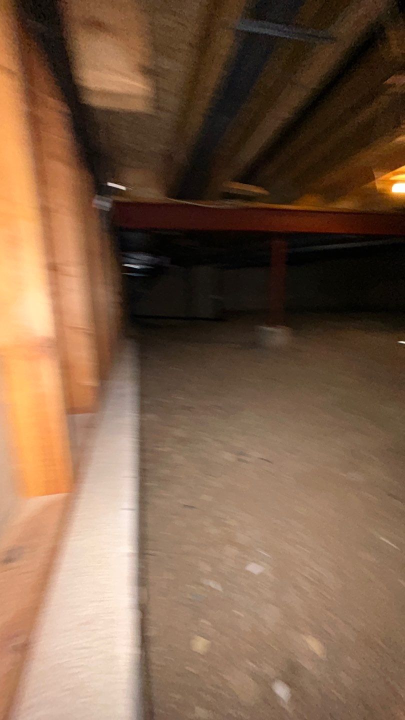 Mold Damage by Accountable Home Services