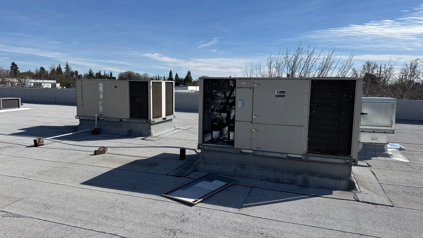 Project by NuLead Construction Inc by NuLead Construction Inc