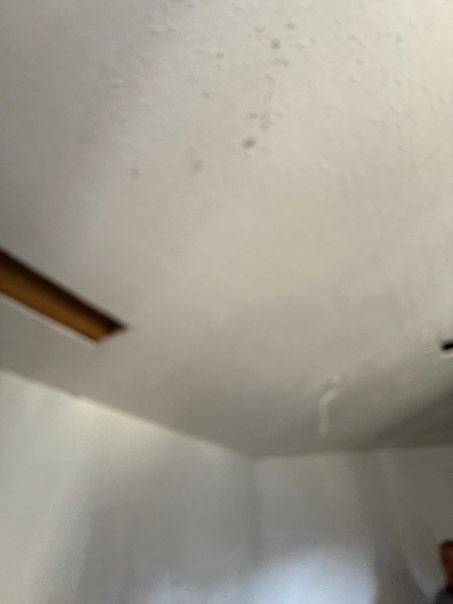 Glen rose by American Builders 