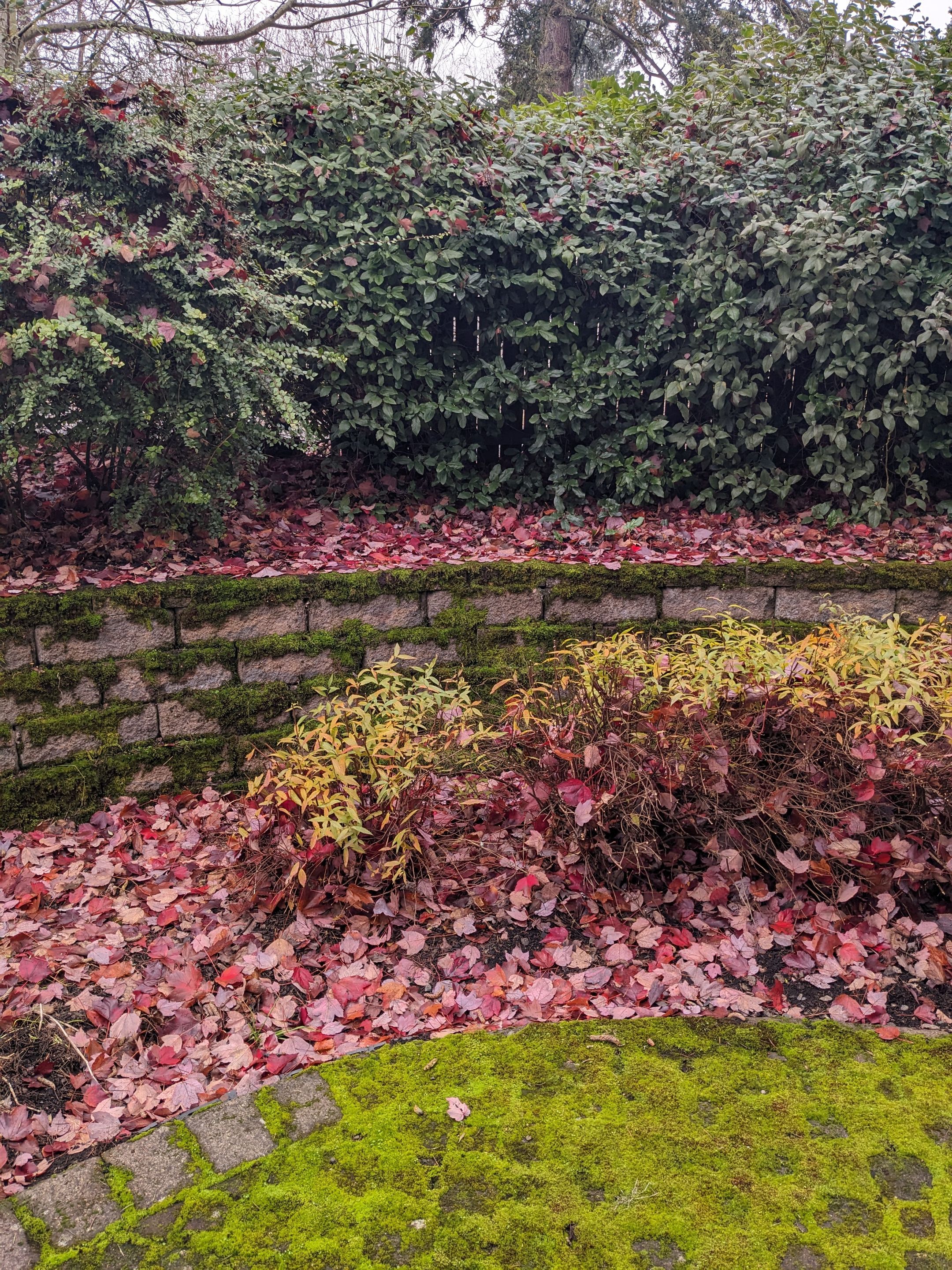 Landscaping Using Shrubs by CompanyCam Help Articles Test