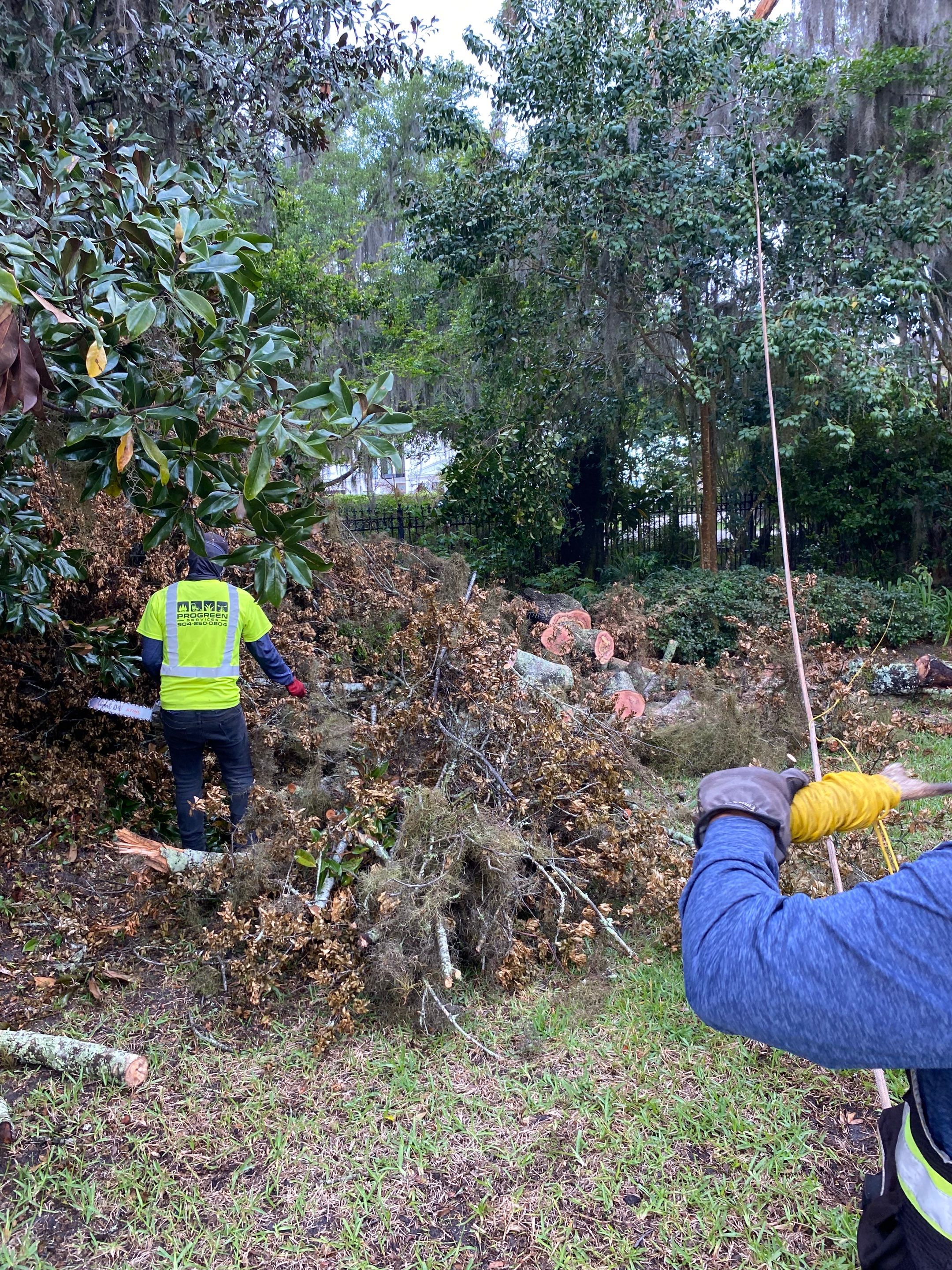 Residential | Tree Removal by ProGreen Services