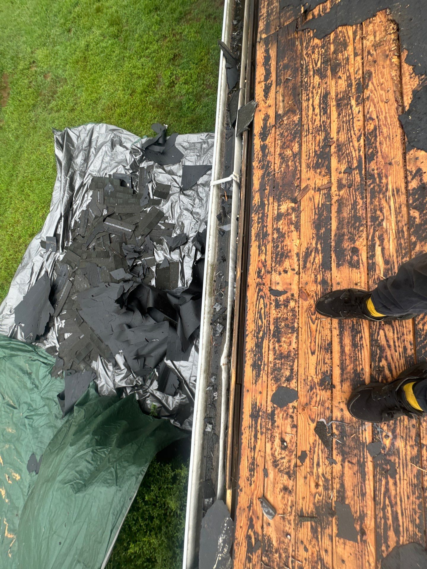 Silver Birch Shingles by Reimagine Roofing