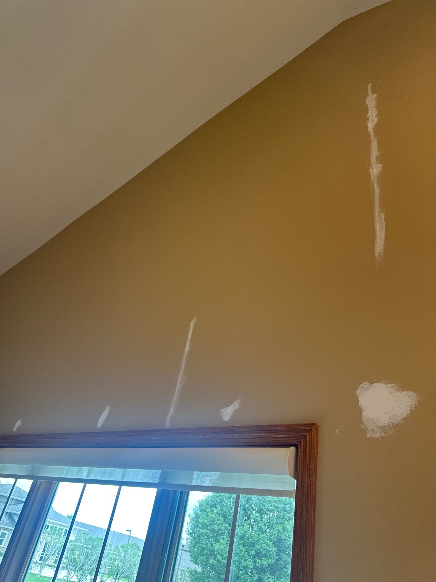 Res Int Repaint  by Midwest Paint LLC