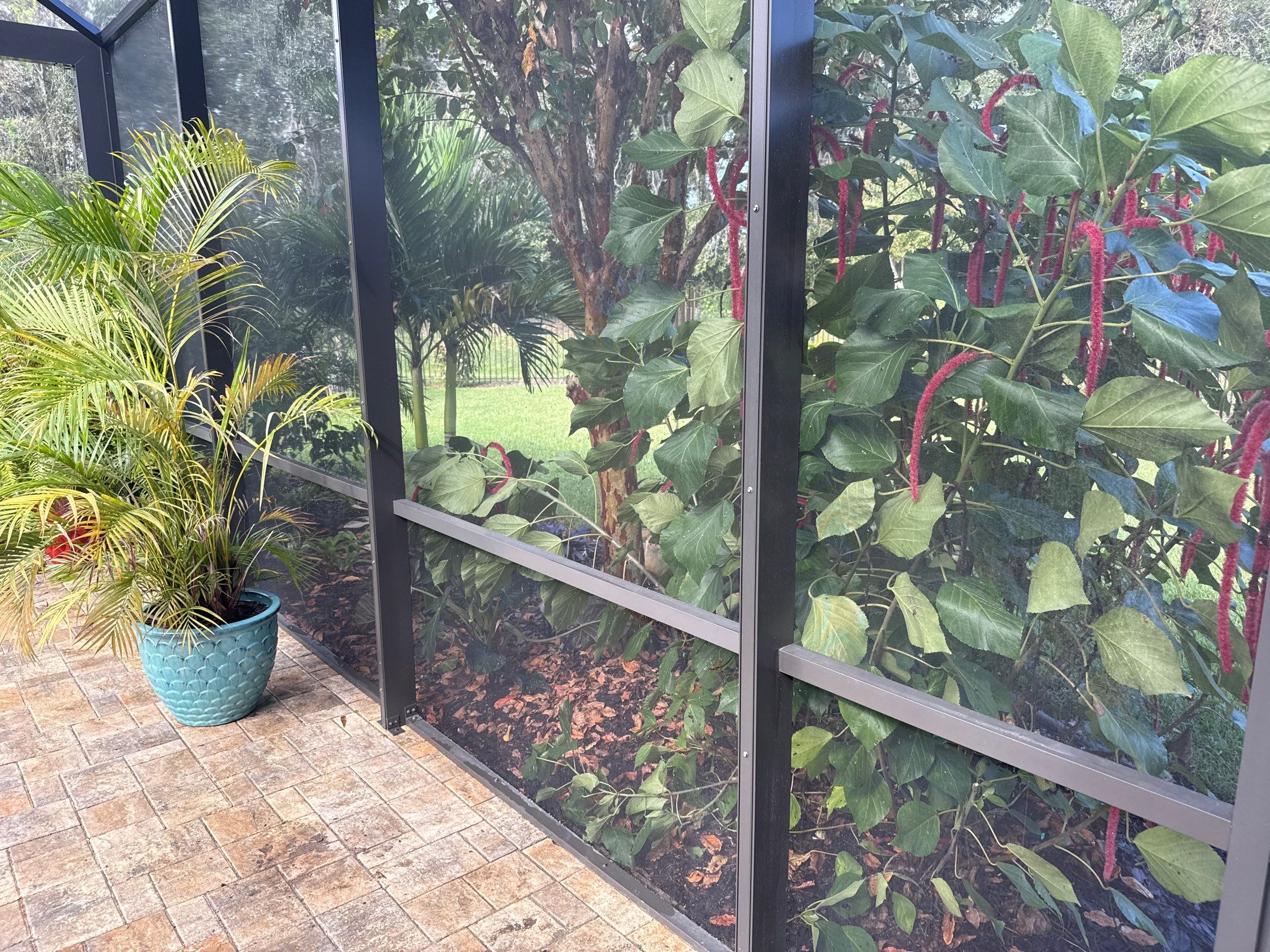 Pool Cage Cleaning | Rye Wilderness, Bradenton FL by Sunshine AquaWash