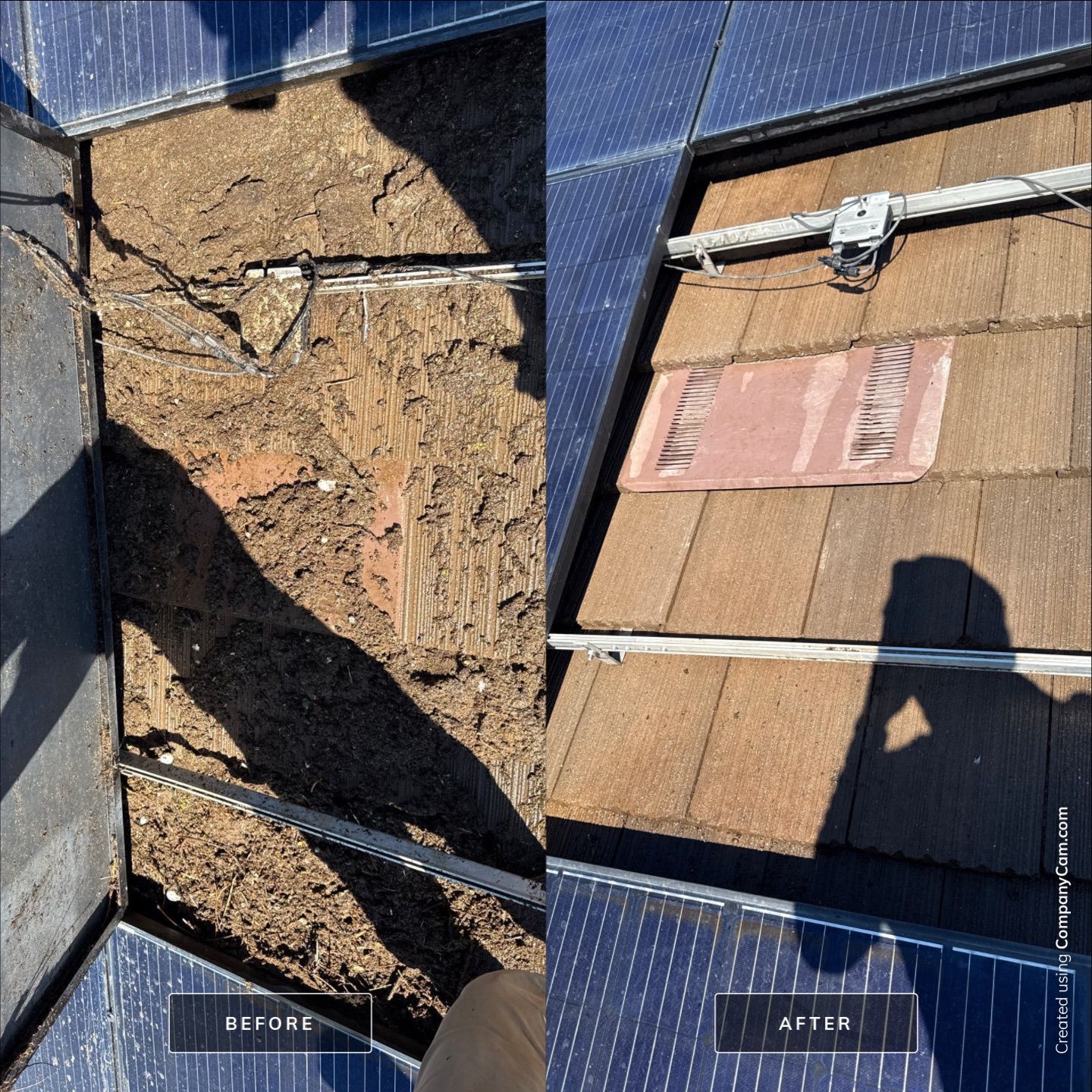 Project in Brentwood by Top Elevation