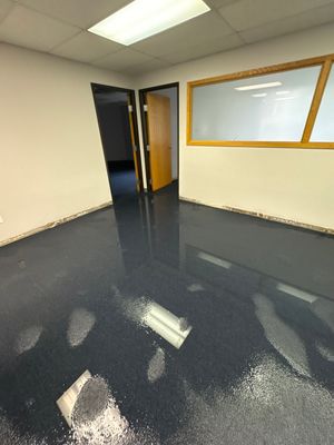Project in Warren