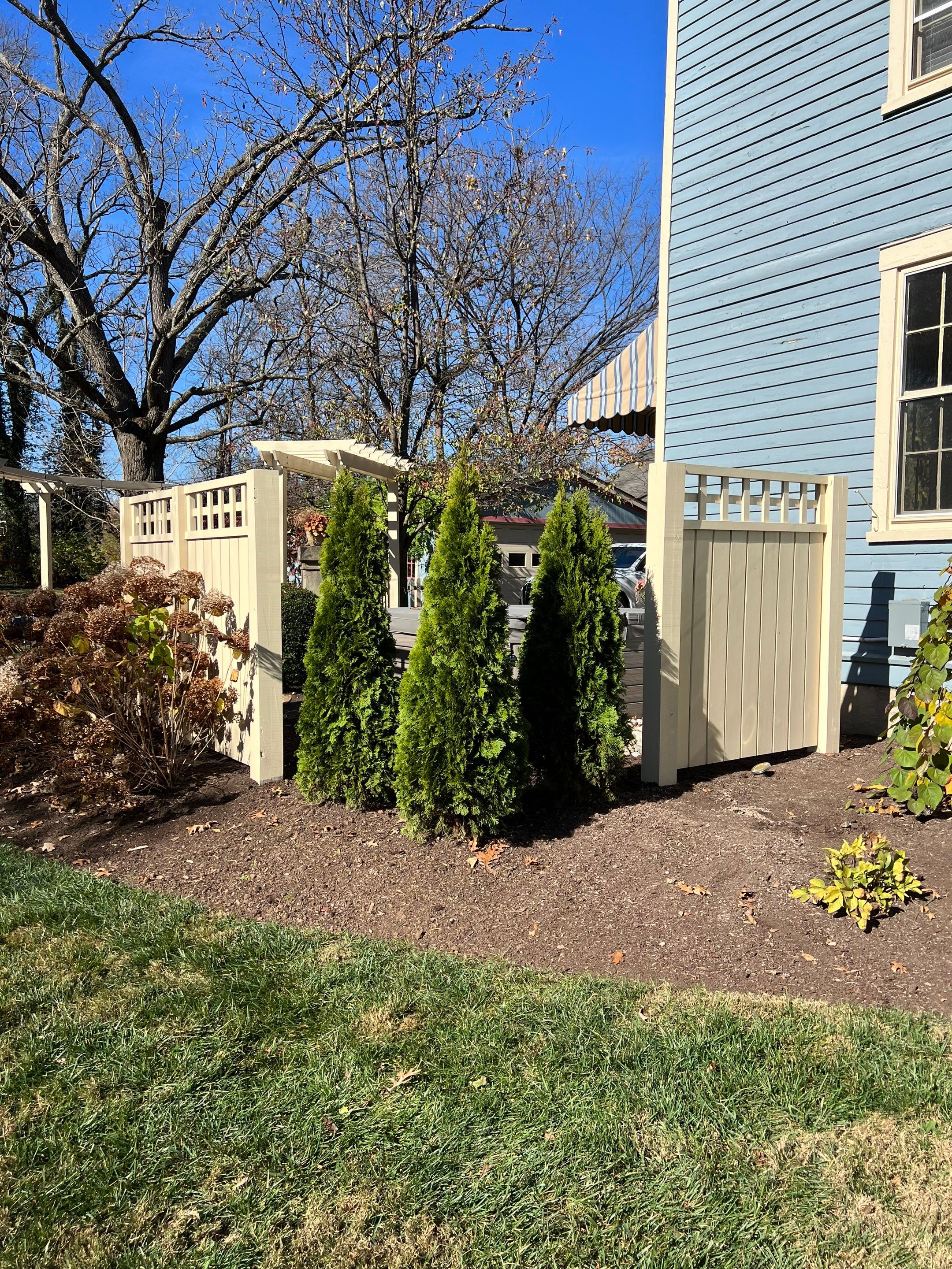 Arborvitae Install & Paver Repair using DGA - Crushed Limestone by Reisenberg’s Lawn & Landscape, LLC