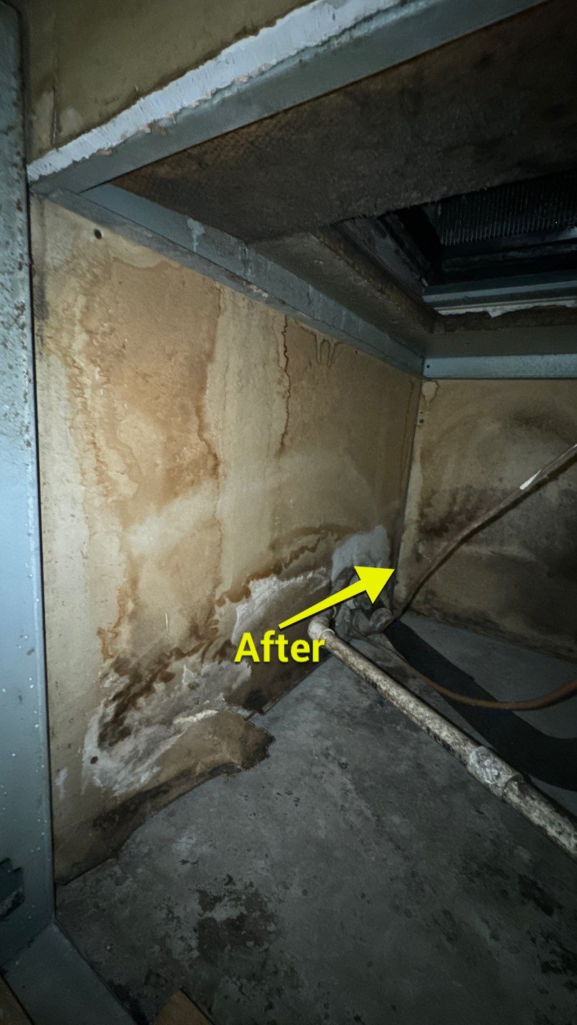 Commercial Air Duct Cleaning in Tavares by Hygienic Air, Inc