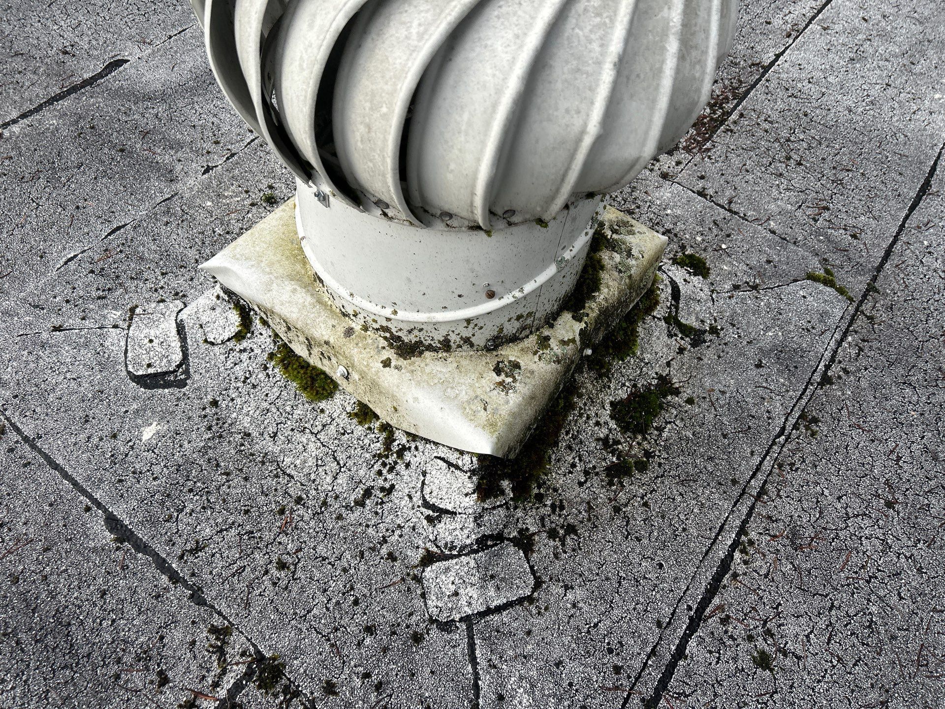 Project in Kirkland by Connolly Construction Company