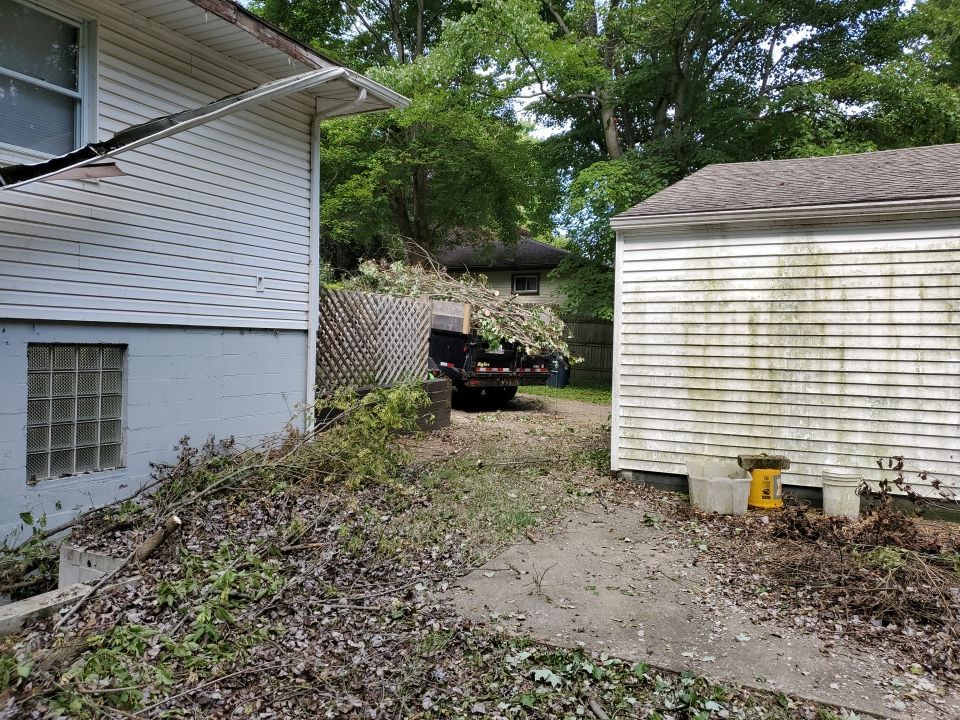 Storm Damaged Tree Removal  by Mike Jones & Sons Tree Service LLC 