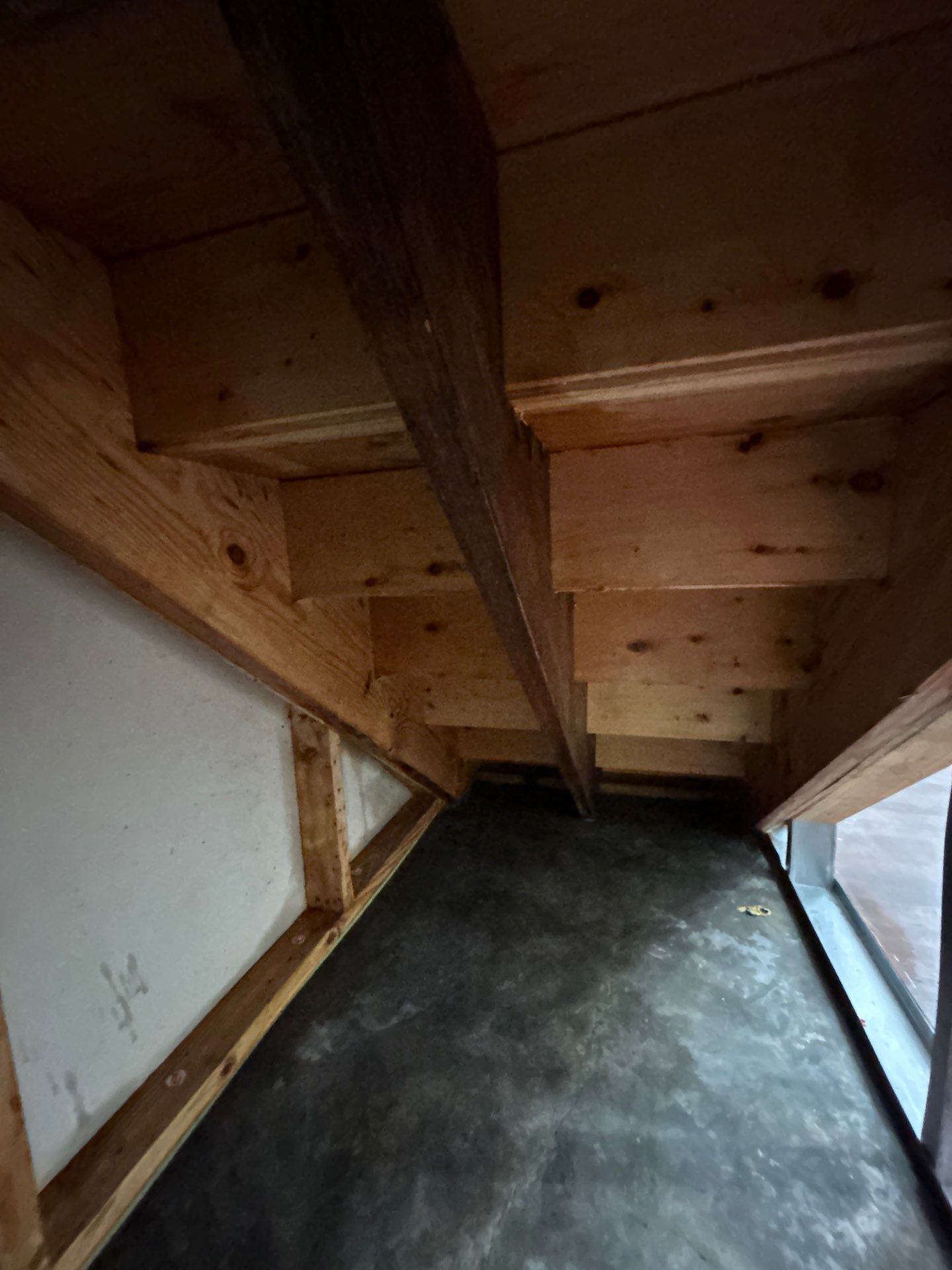 Stansell - water and mold photos  by THE RAPID TEAM