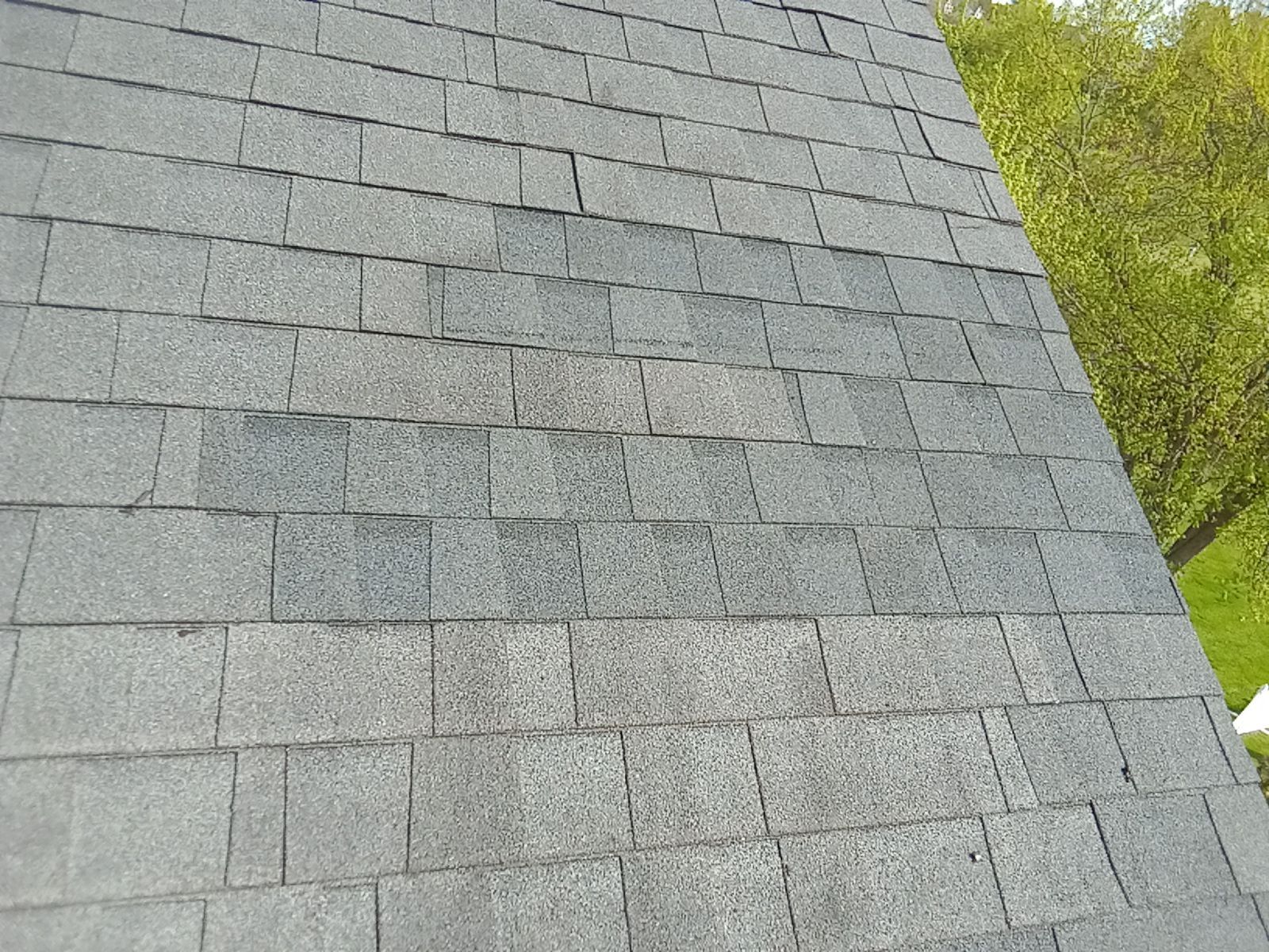 Robert Williams by Silver Leaf Contracting 