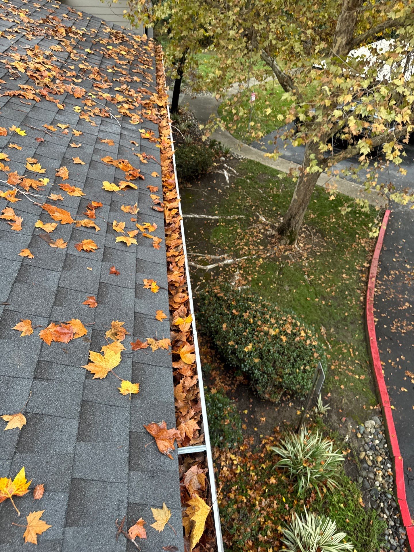 Commercial gutter cleaning Roseville & Rocklin, CA before photo with filled gutters