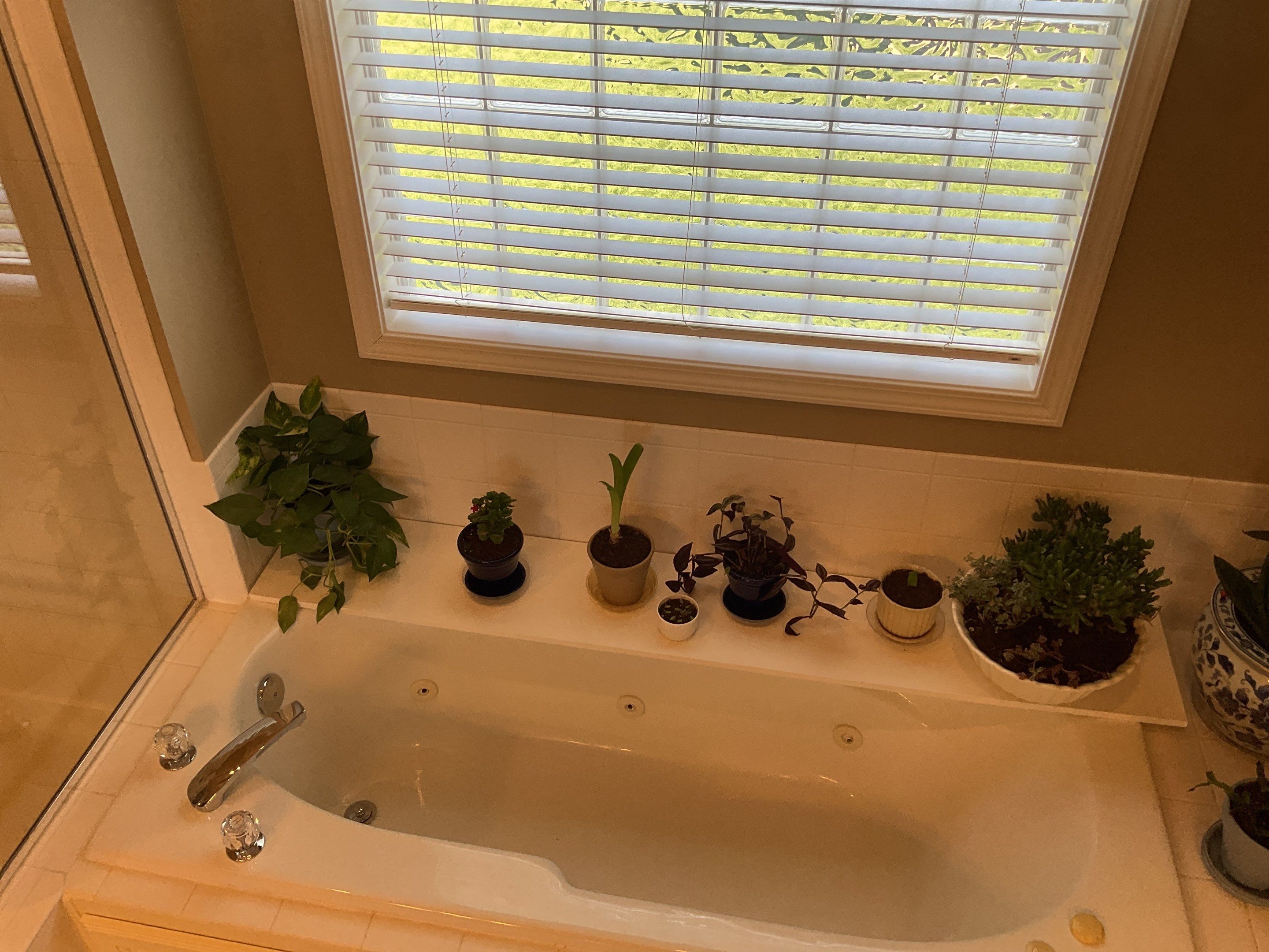 Onyx Shower and vanity top by The Shower Company