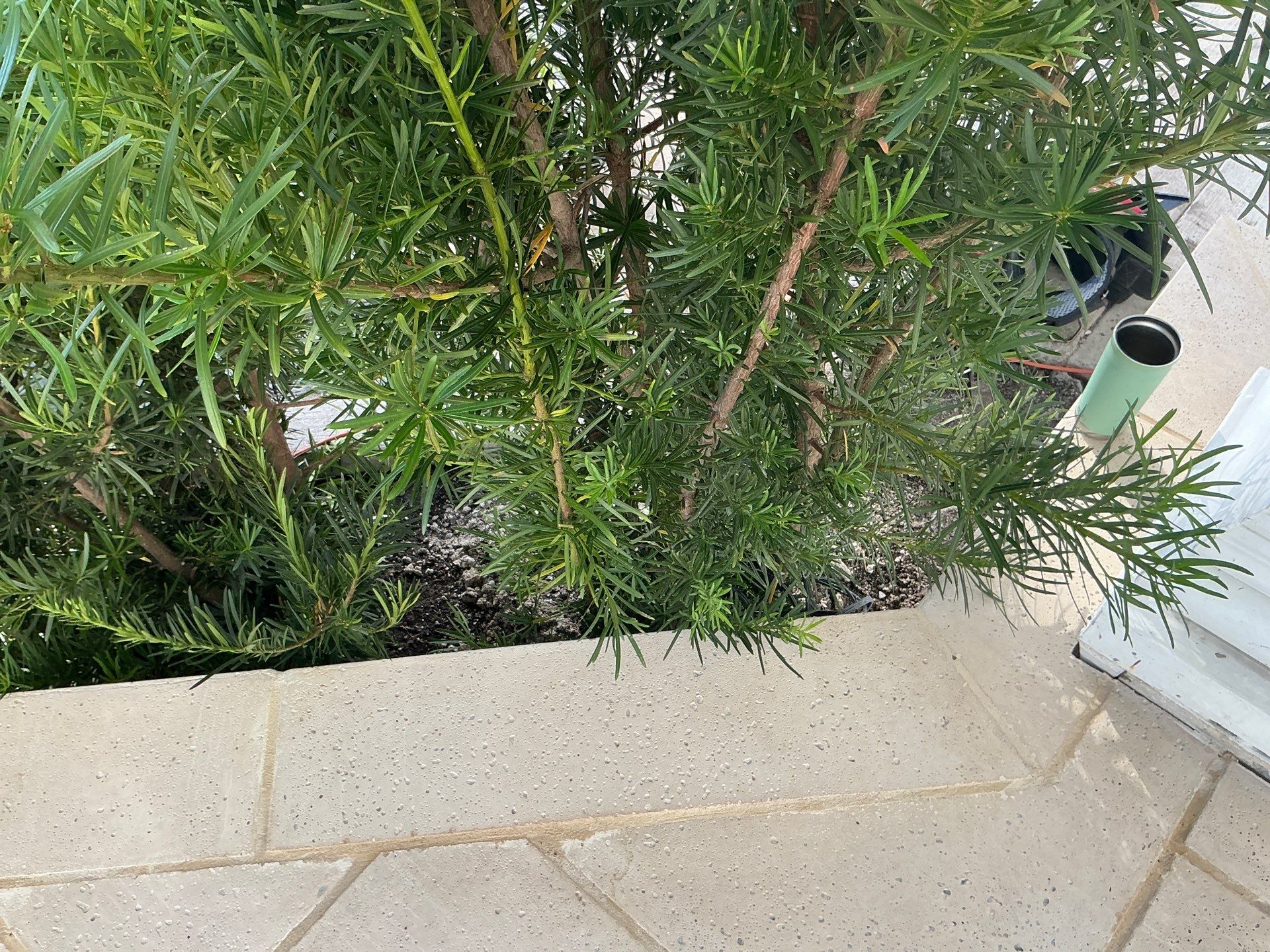 Round Downspouts and Seamless Gutter Installation in Tampa FL by Gutter Professors