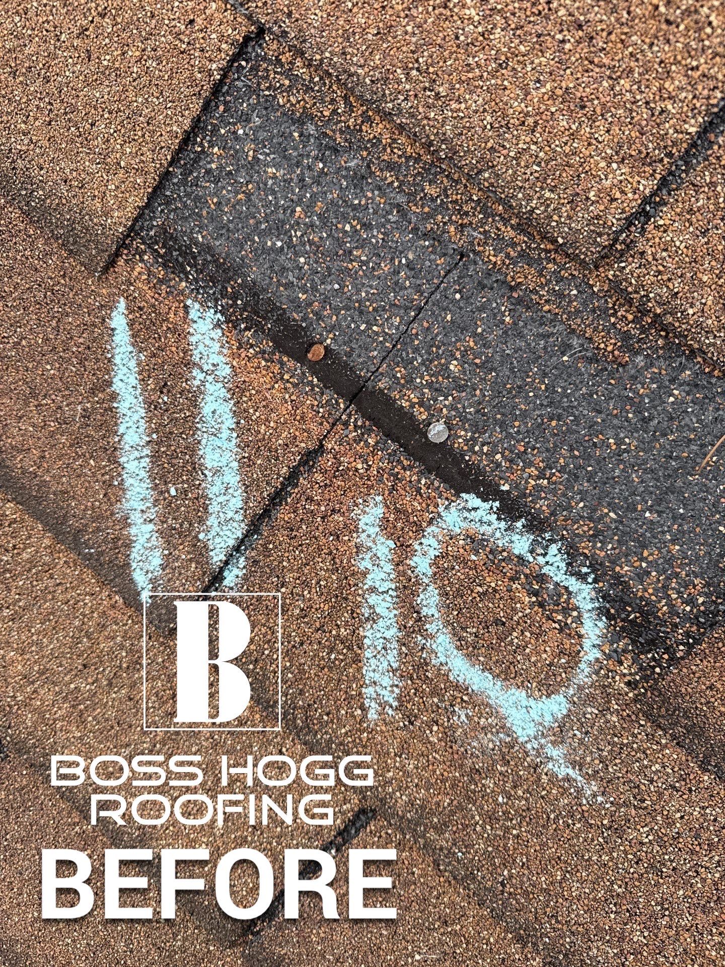 BARB C. by Boss Hogg Roofing