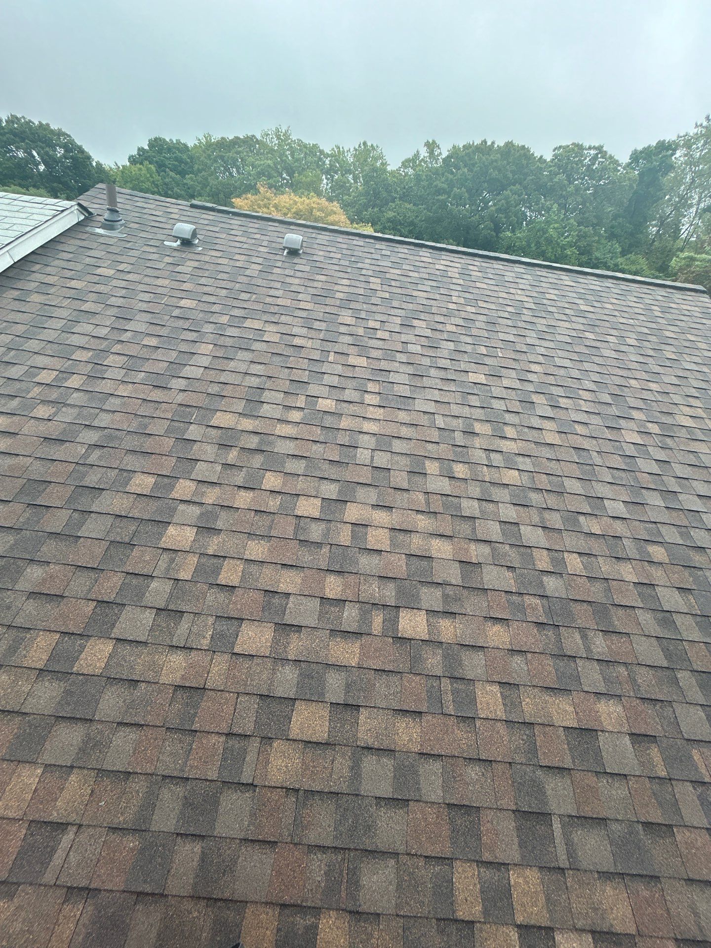 Springfield: Roof Replacement with Landmark Pro Designer Shingles in Max Def Shenandoah by RM Banning, Inc.