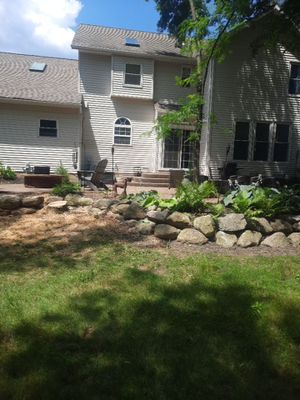 Tree Removal using Tree Removal