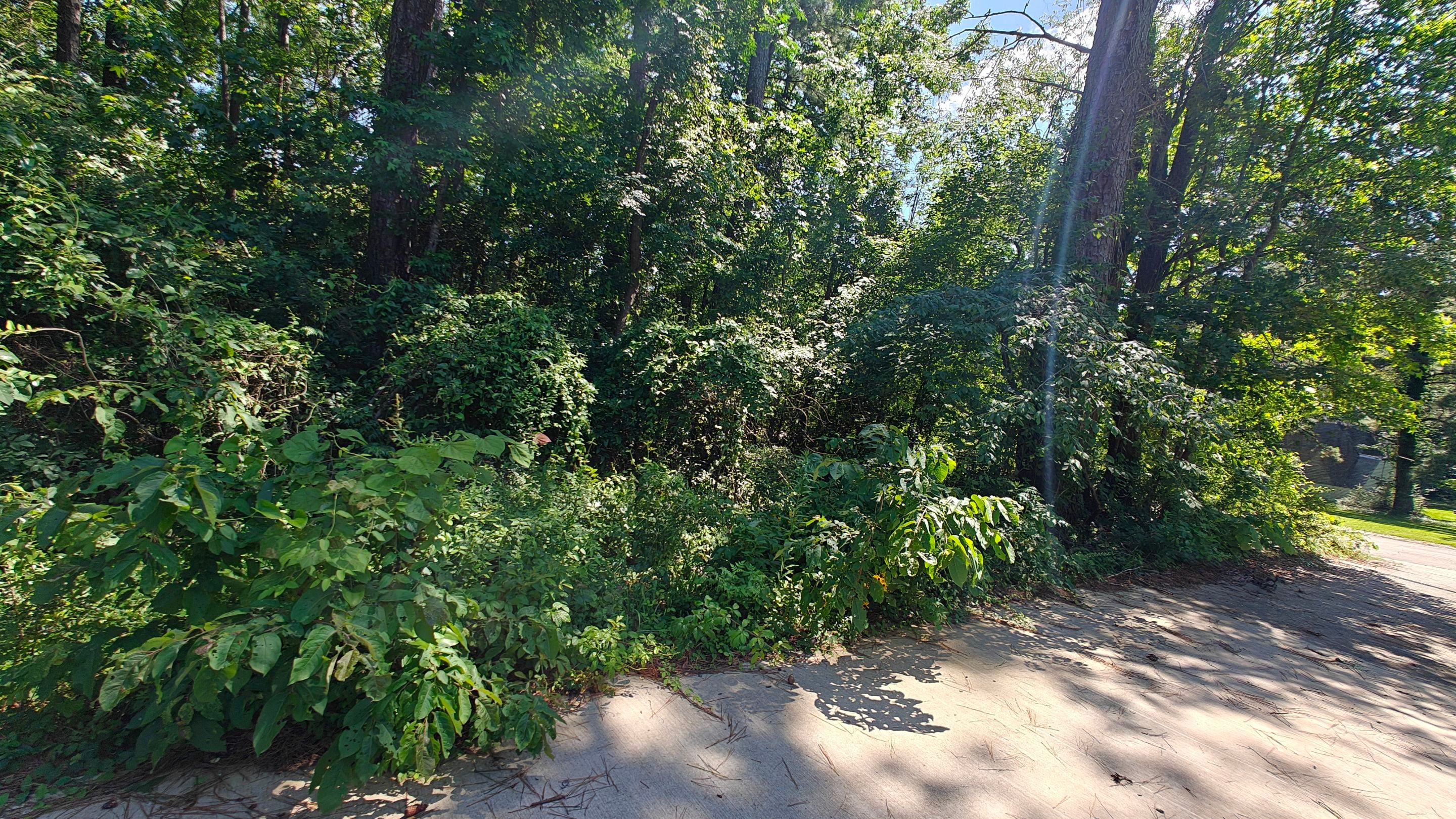 Bi Weekly Landscaping/ Weeding  by College Bros Outdoor services