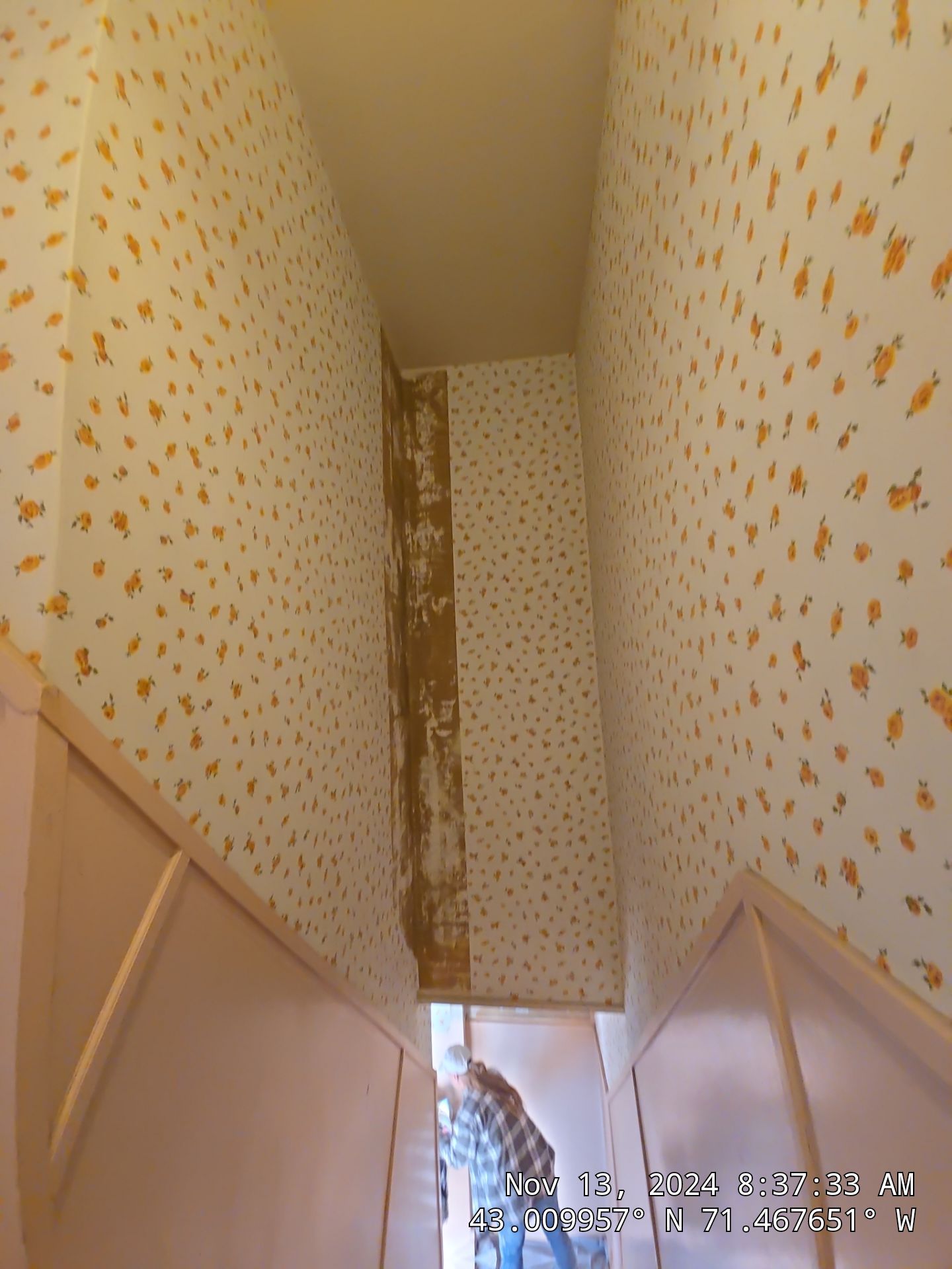 Refreshing an old back hallway for a favorite regular in Manchester's North End by The Persnickety Painters