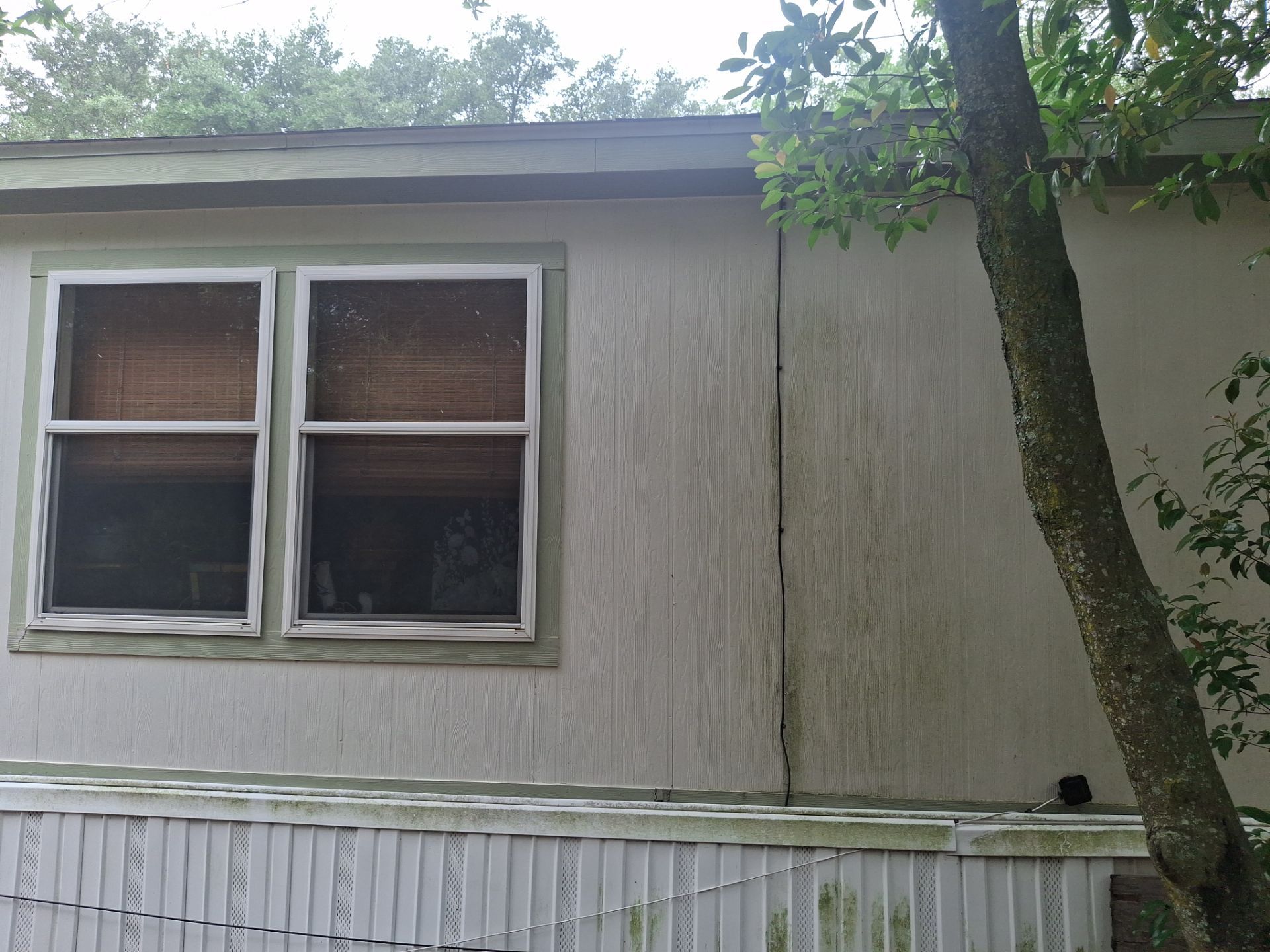 🌿 A Fresh Green Refresh in Lindale, TX! 🌿 by Quality Coats Painting