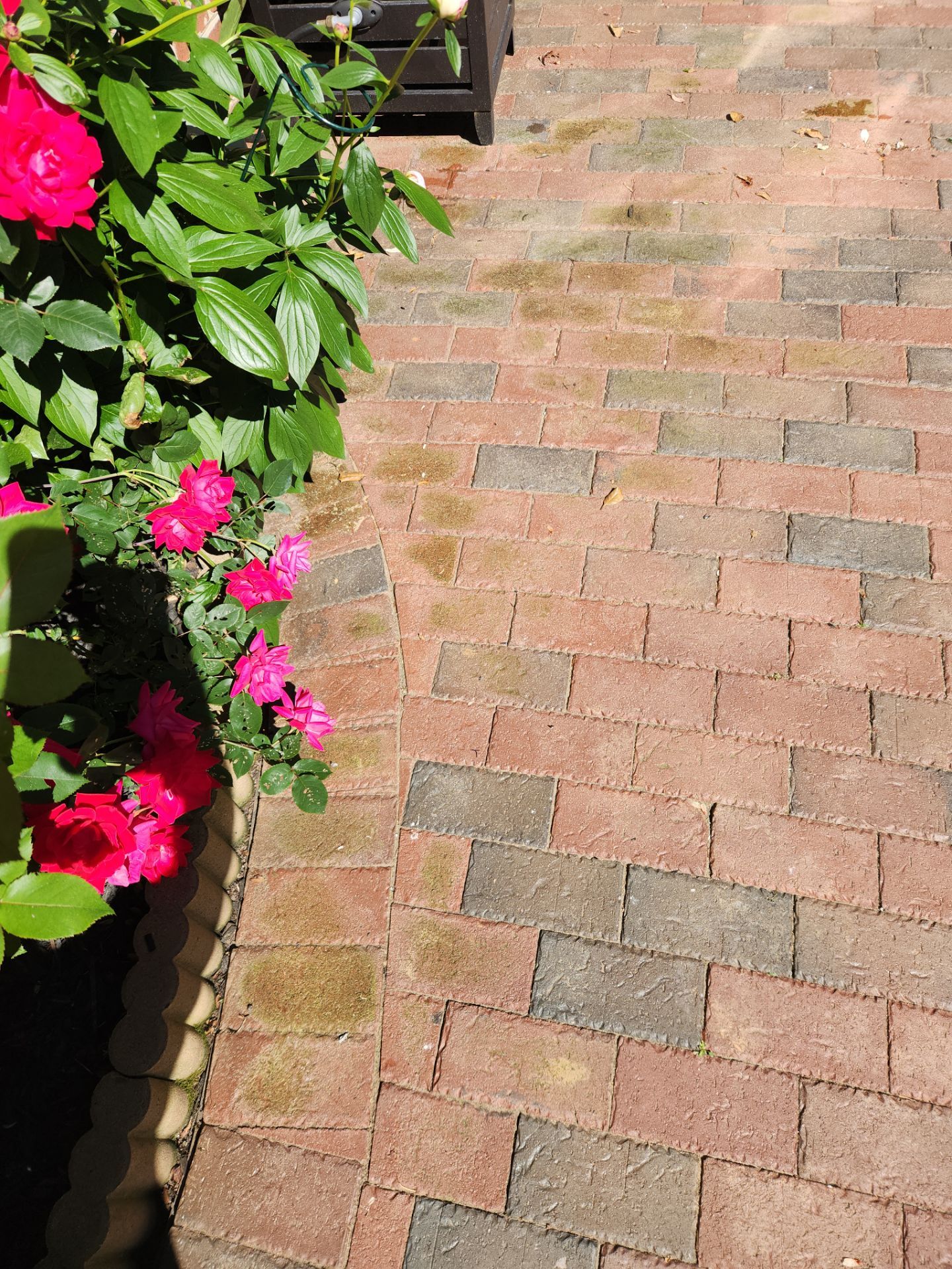 Pavers using Concrete Sealant by DuraSeal