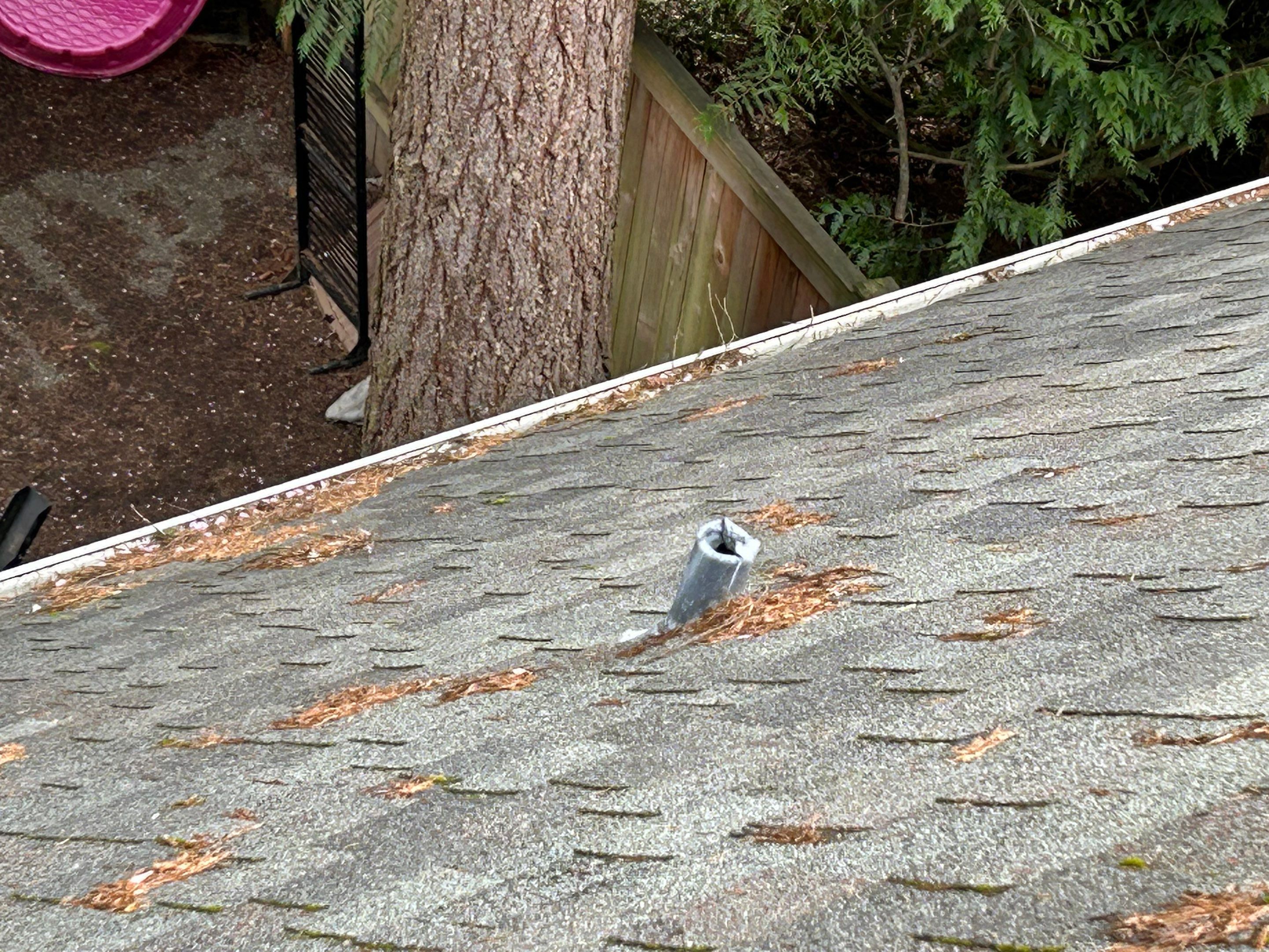 Project in Redmond by Connolly Construction Company