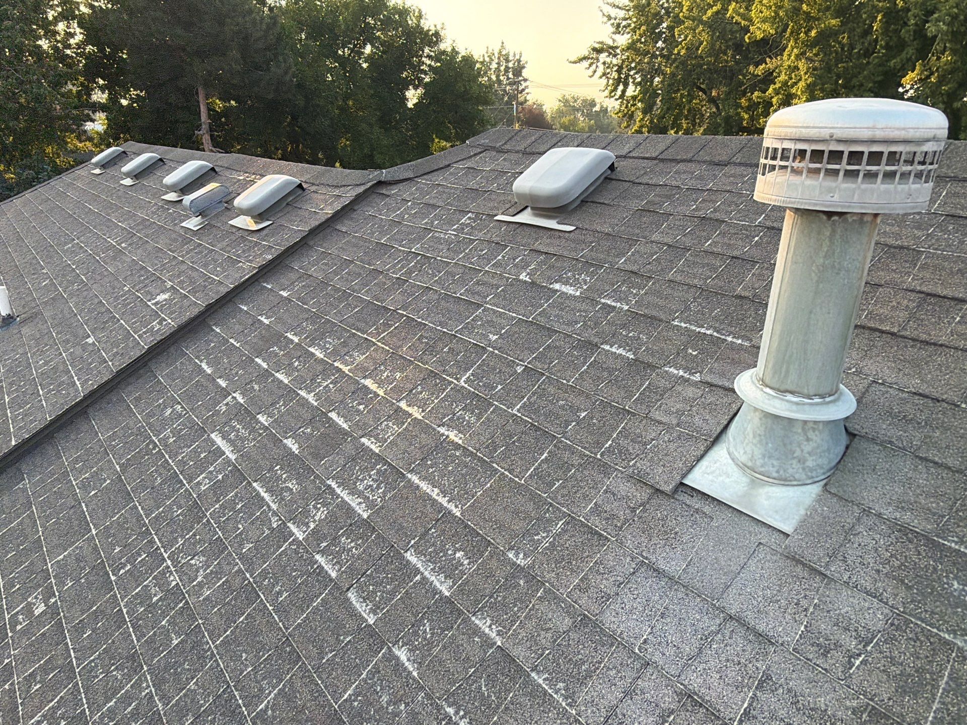 Residential Roof Replacement and Decking Repair in Boise by Olive Roofing