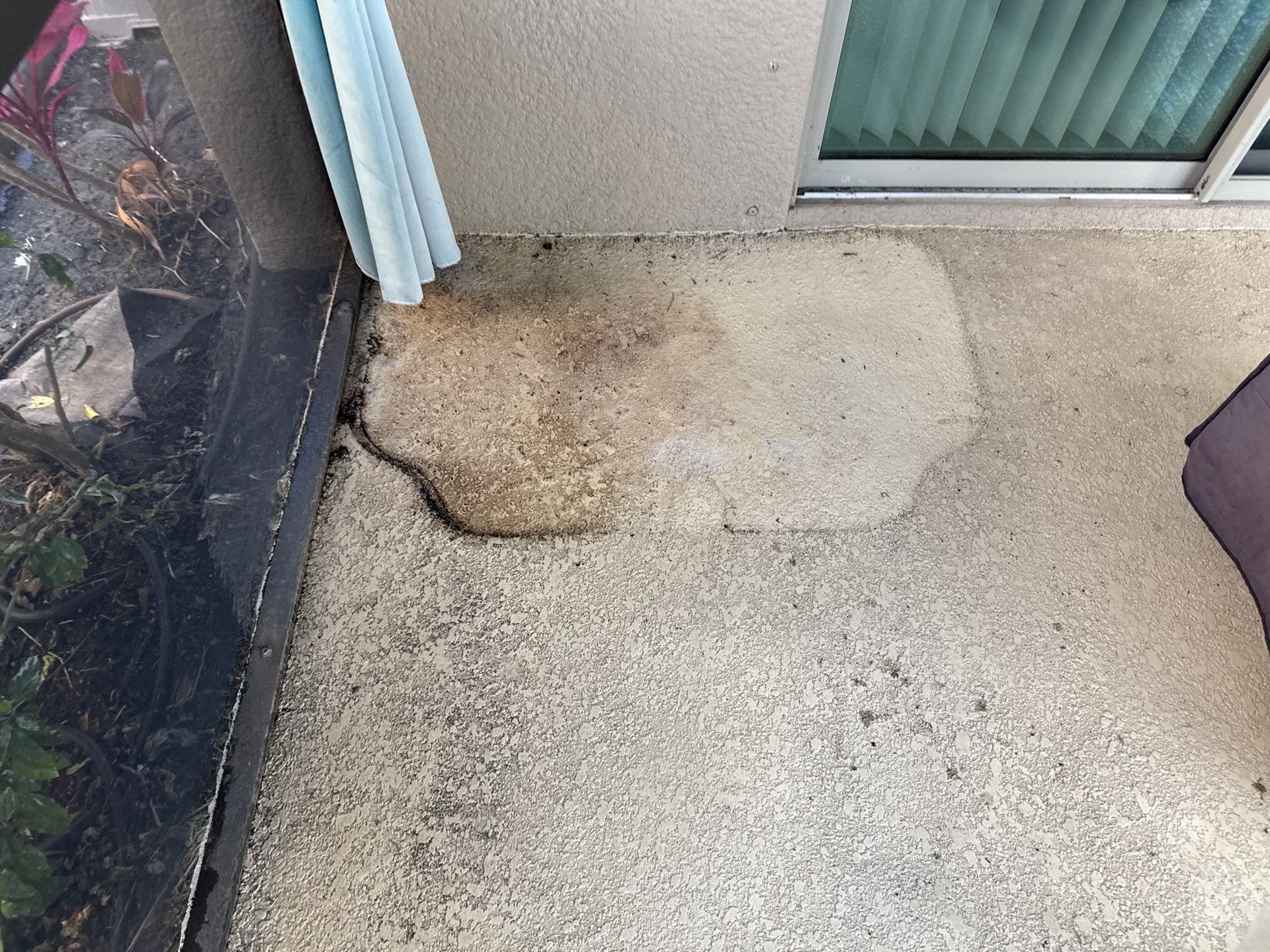 Roof Soft Wash, Pool Deck & Screen Enclosure Cleaning – Trevesta Community, Palmetto, FL by Sunshine AquaWash