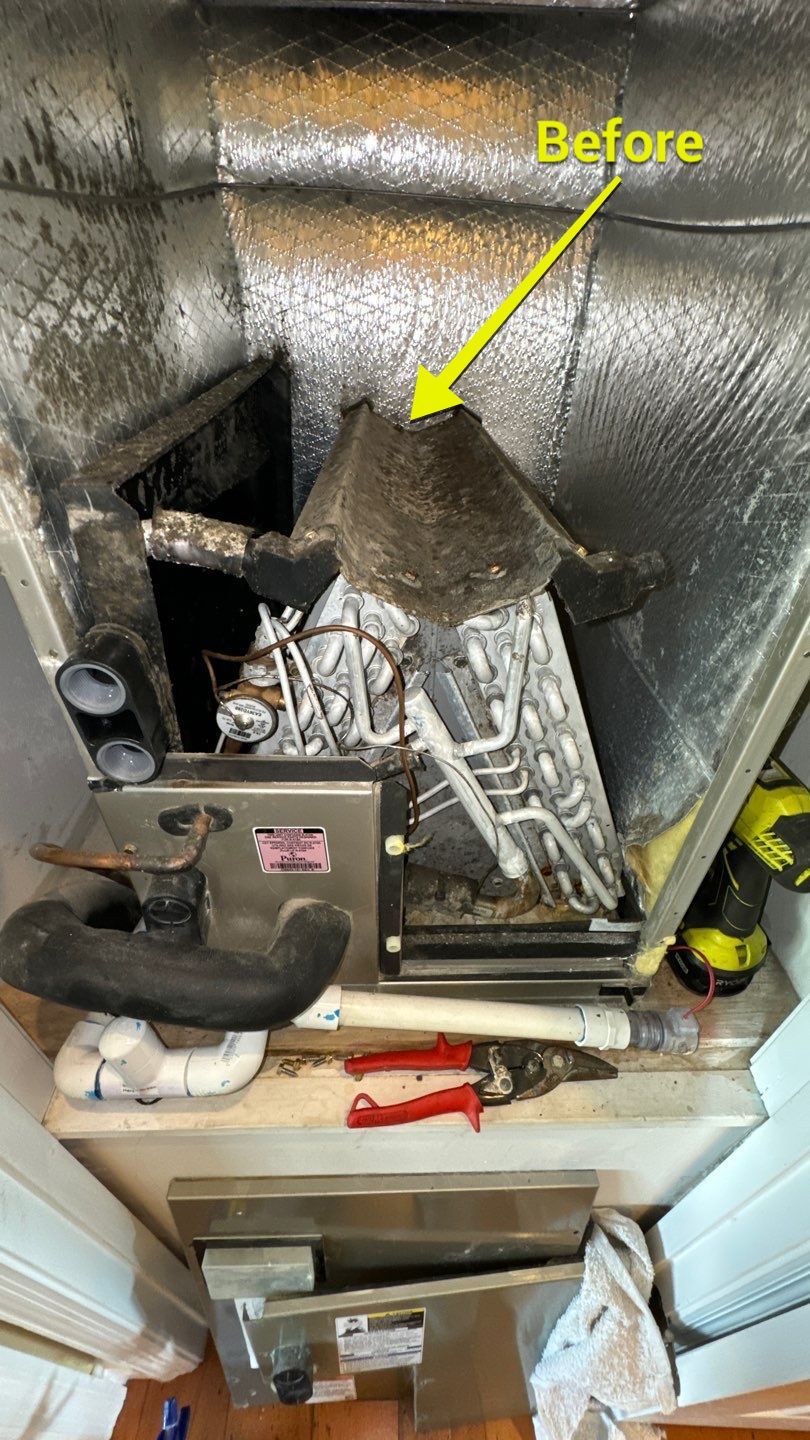 Air Duct Cleaning in Tavares by Hygienic Air, Inc
