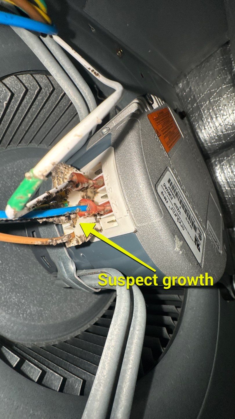 Air Duct Cleaning in Leesburg by Hygienic Air, Inc